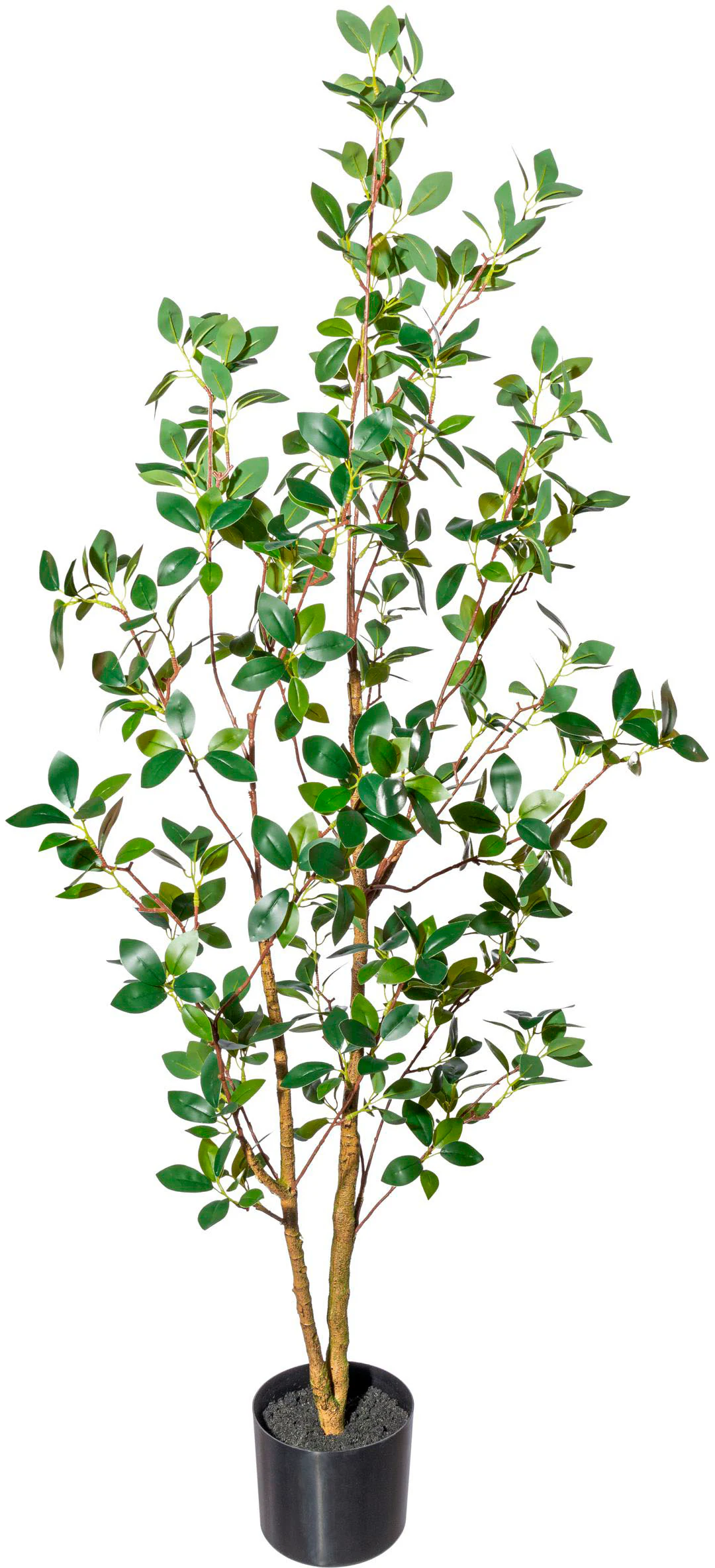 Creativ green Kunstbaum "Ficus ginseng" günstig online kaufen