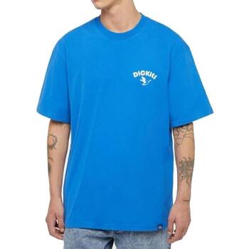 Dickies  T-Shirts & Poloshirts DK0A863GJ531 günstig online kaufen