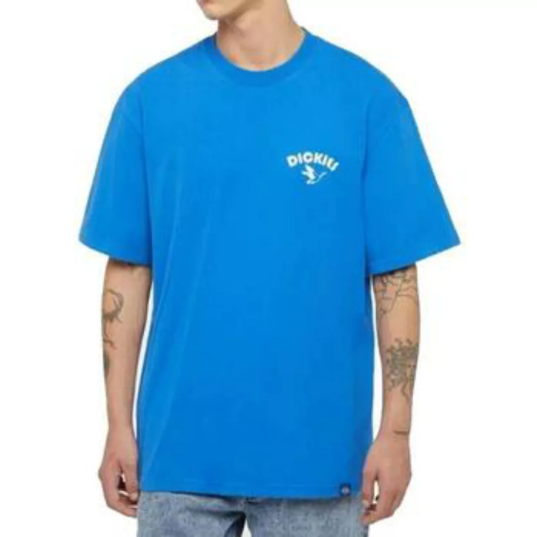 Dickies  T-Shirts & Poloshirts DK0A863GJ531 günstig online kaufen