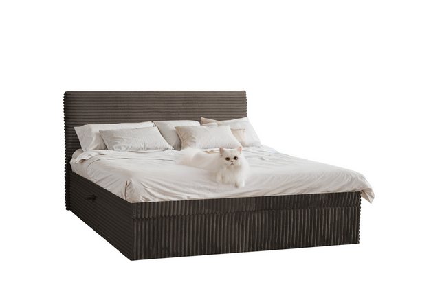 Kaiser Möbel Boxspringbett mit bettkasten und topper TRENTO, ohne Bein stof günstig online kaufen