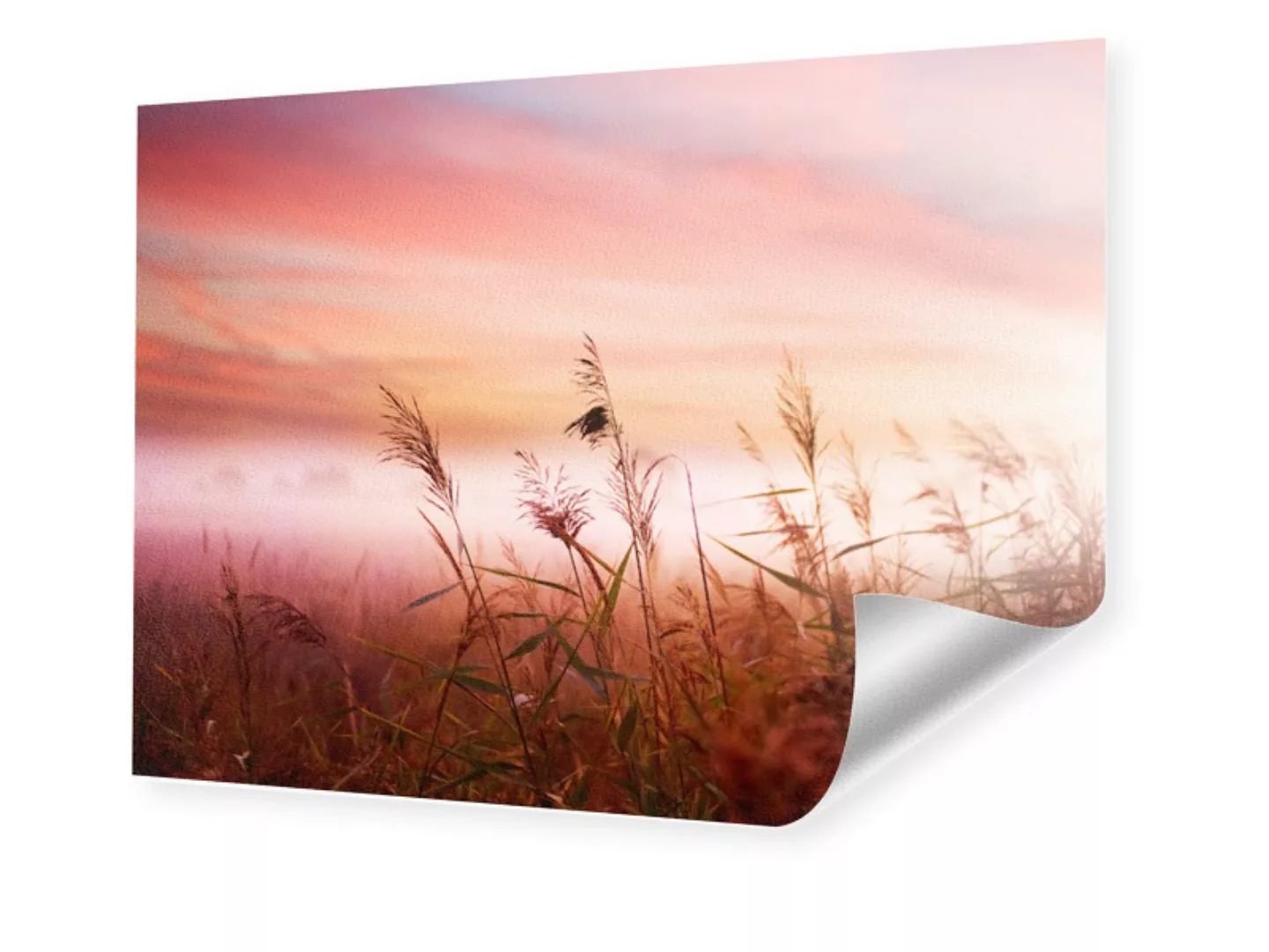 Foto auf Hahnemuehle im Format 64 x 36 cm im Format 64 x 36 cm günstig online kaufen