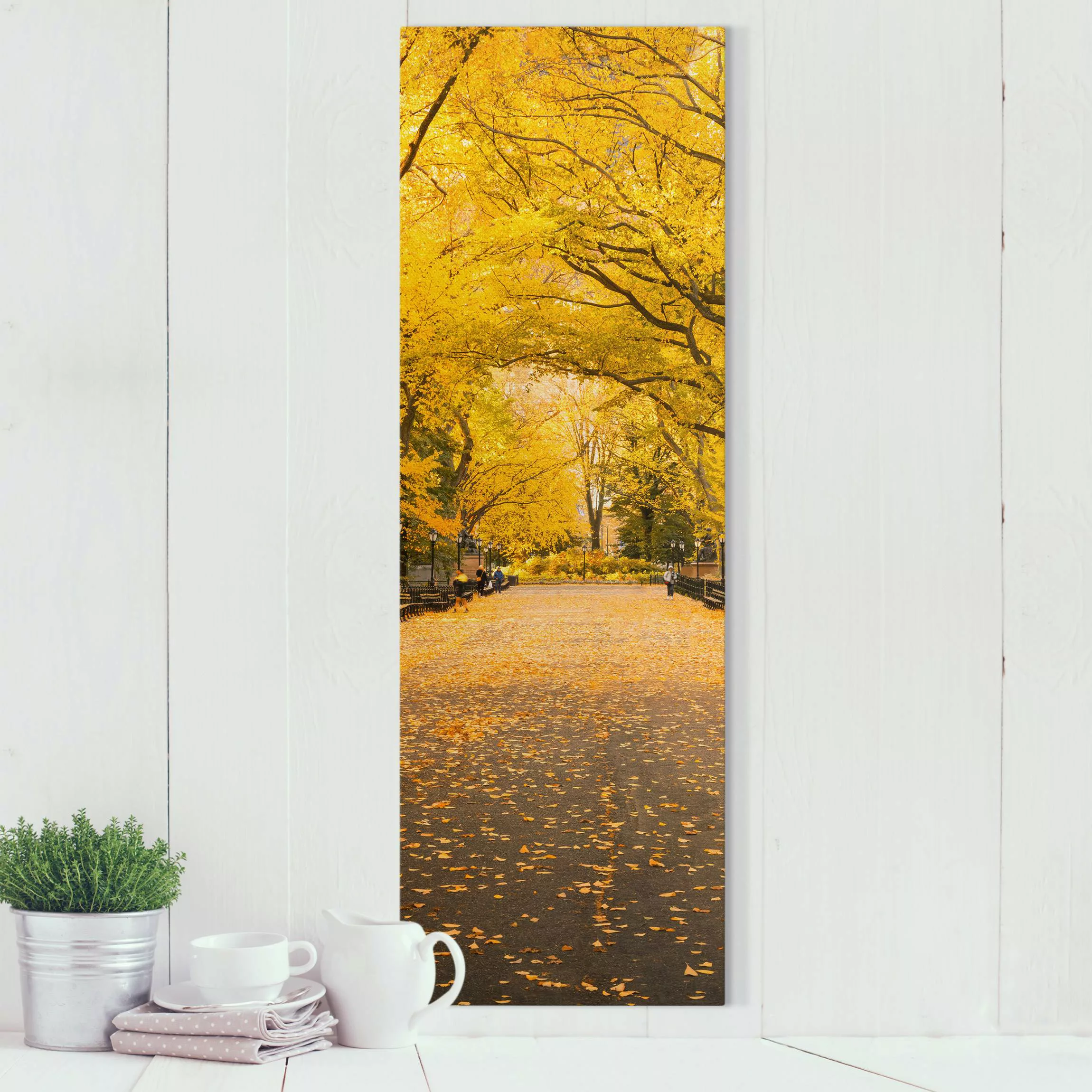 Leinwandbild Herbst im Central Park günstig online kaufen