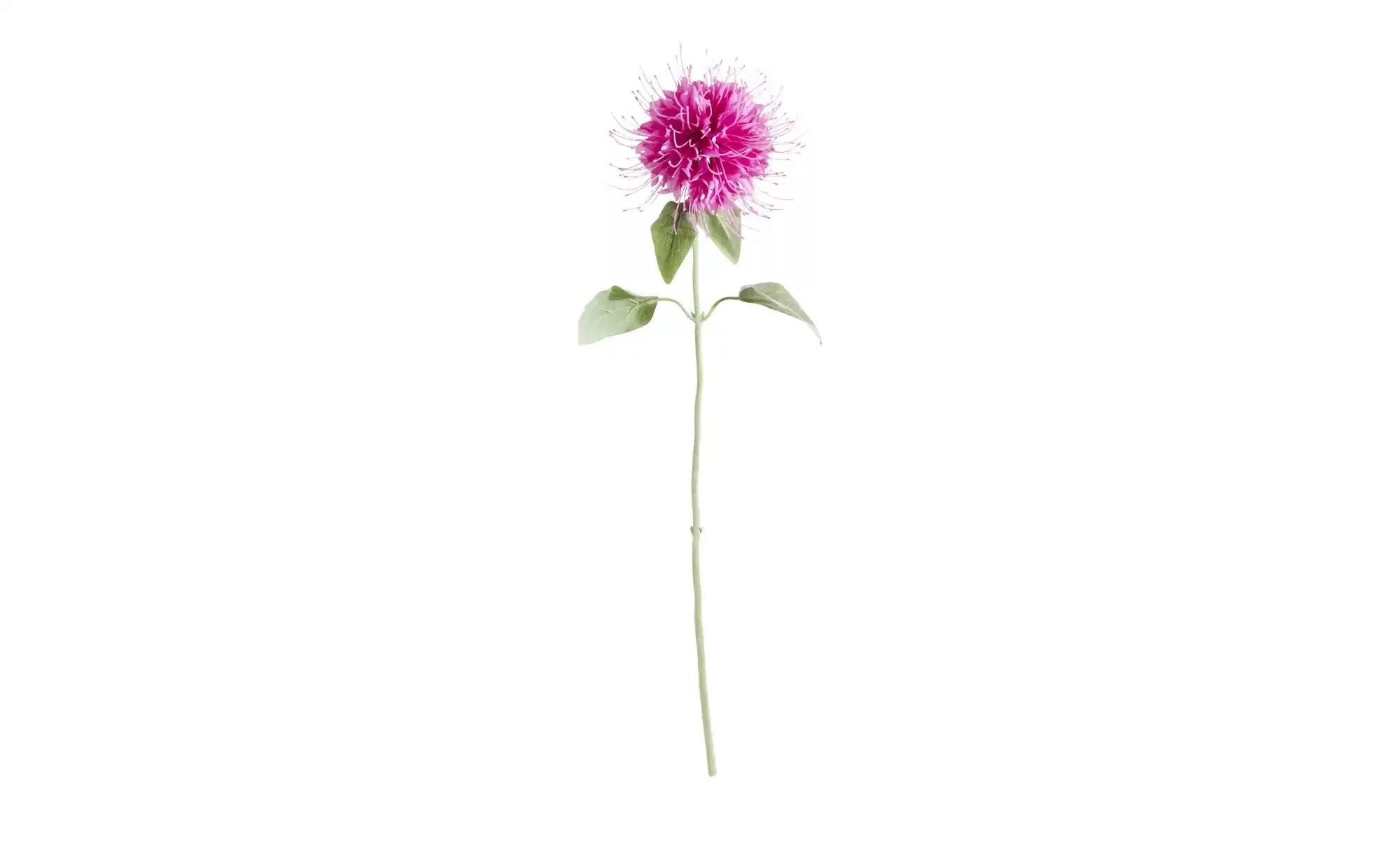 Kunstblume Monarda ¦ rosa/pink ¦ Kunststoff Accessoires > Kunstblumen - Höf günstig online kaufen