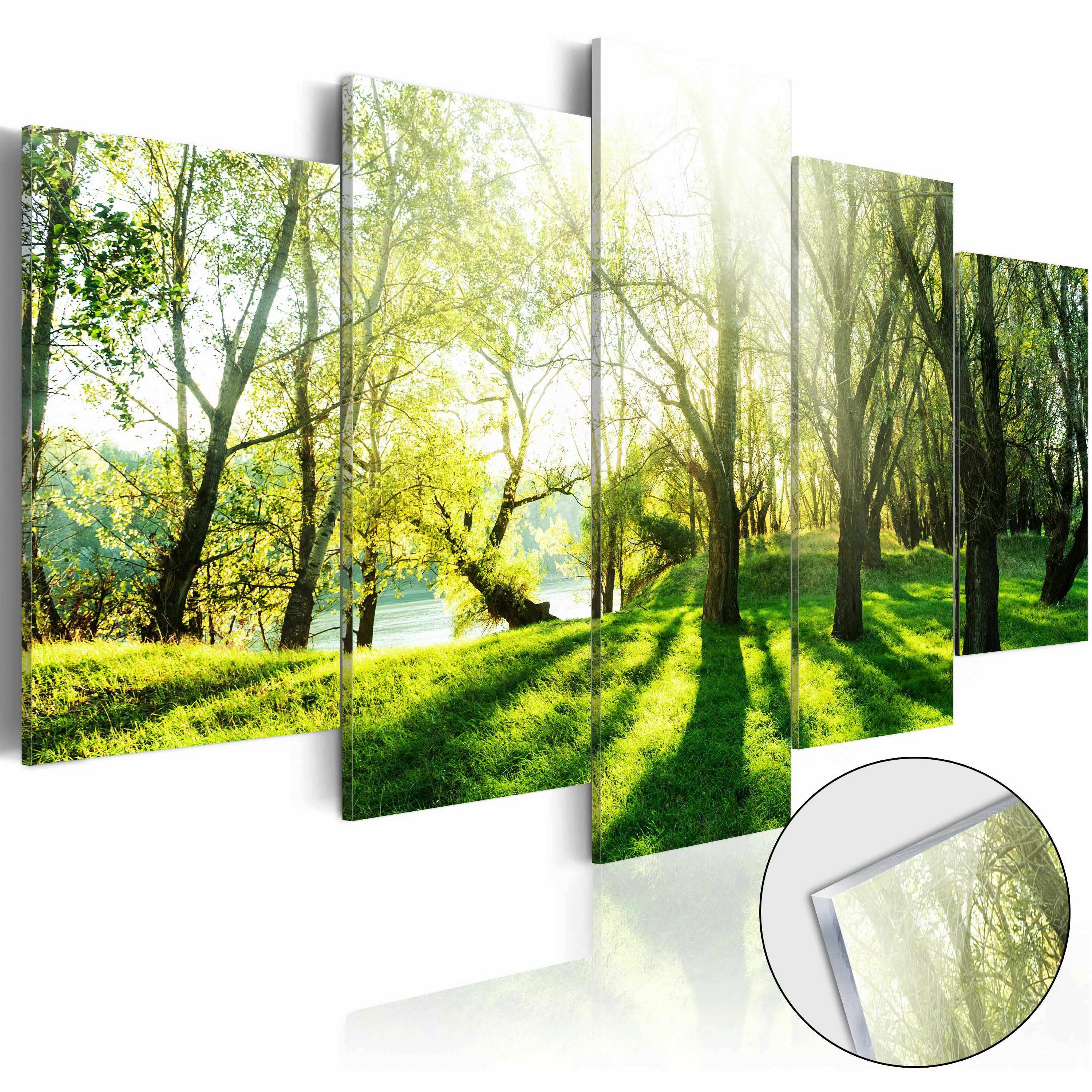 Acrylglasbild - Green Glade [glass] günstig online kaufen
