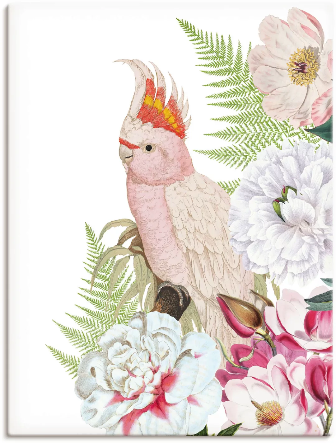 Artland Wandbild »Vintage Papagei II«, Vogelbilder, (1 St.) günstig online kaufen