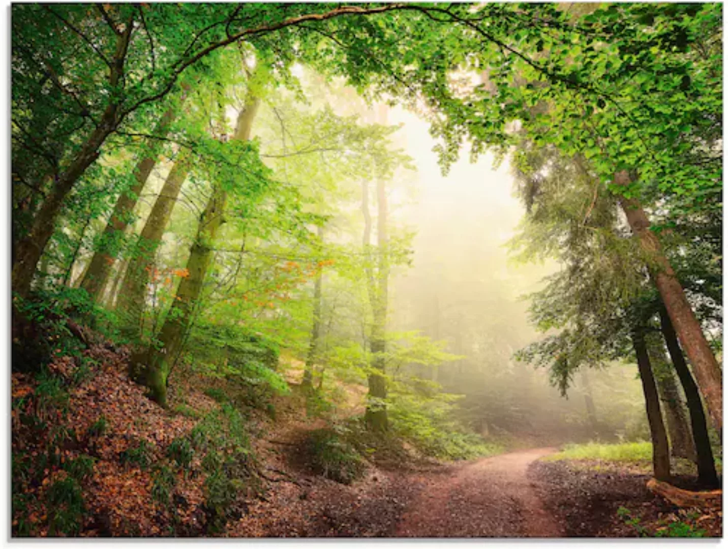 Artland Glasbild "Natürliche Torbögen durch Bäume", Wald, (1 St.), in versc günstig online kaufen