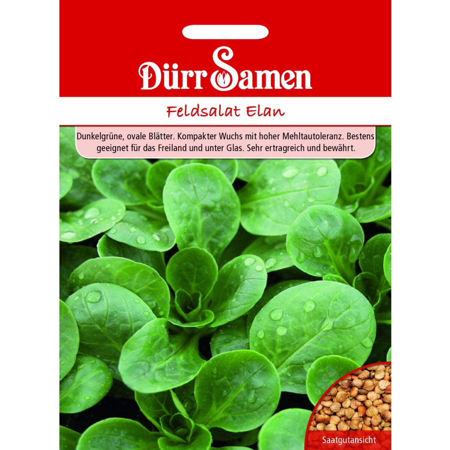 Dürr Samen Feldsalat Elan Saatgut günstig online kaufen