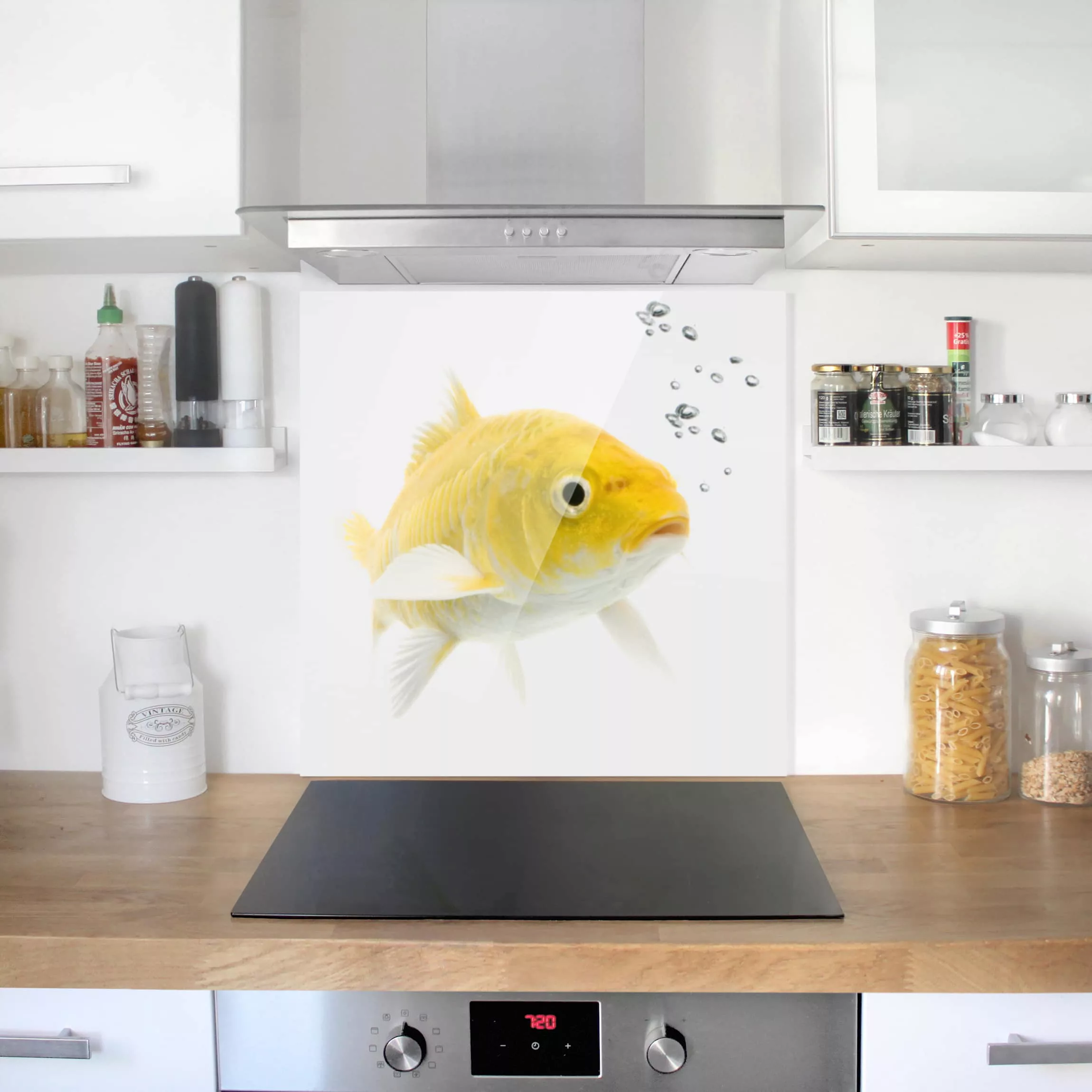 Spritzschutz Goldfisch Gelb günstig online kaufen