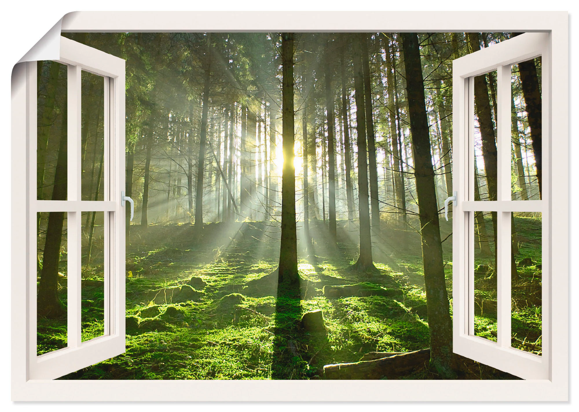 Artland Wandbild »Fensterblick - Wald im Gegenlicht«, Fensterblick, (1 St.) günstig online kaufen
