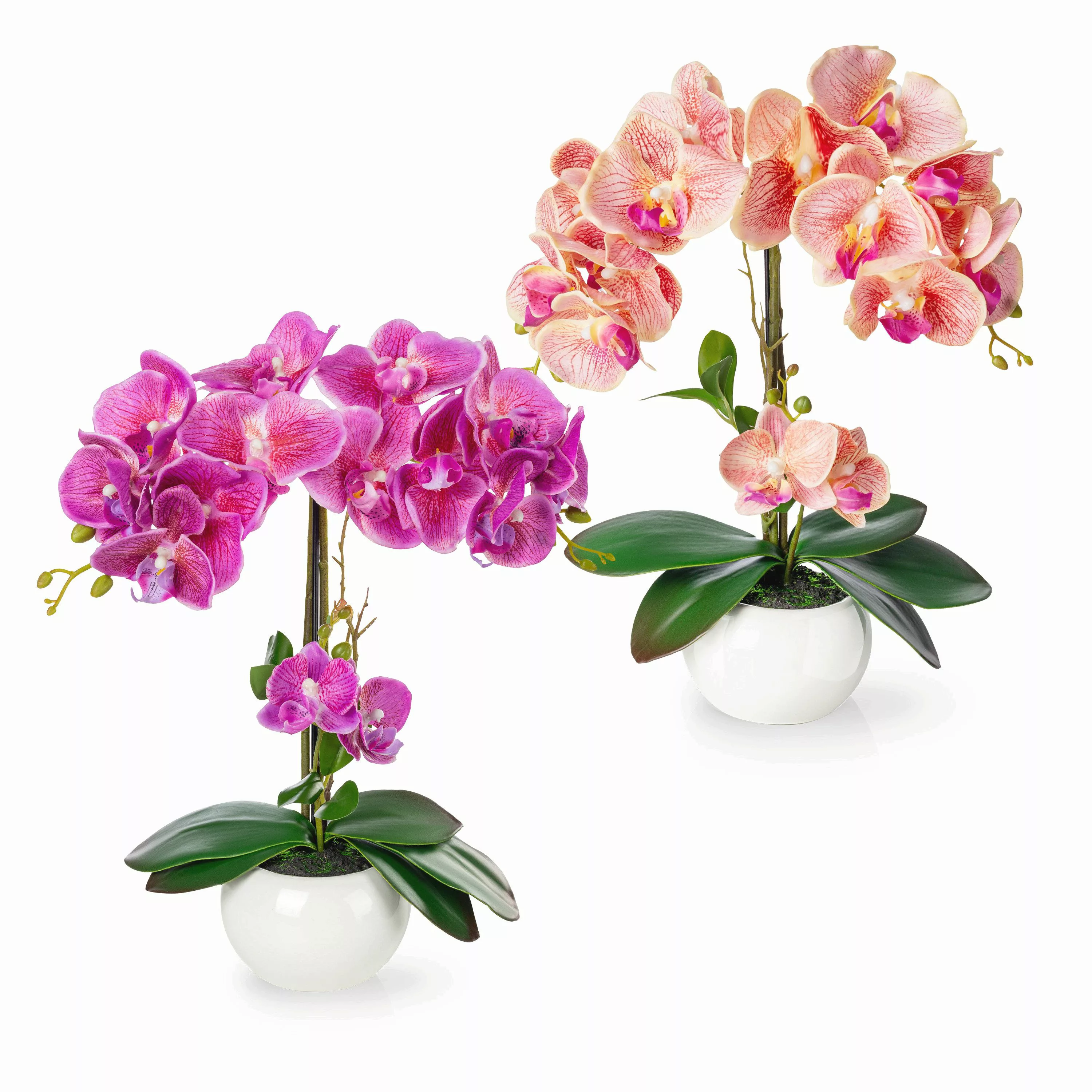 Kunstorchidee PASCH® Orchidee künstlich wie echt günstig online kaufen