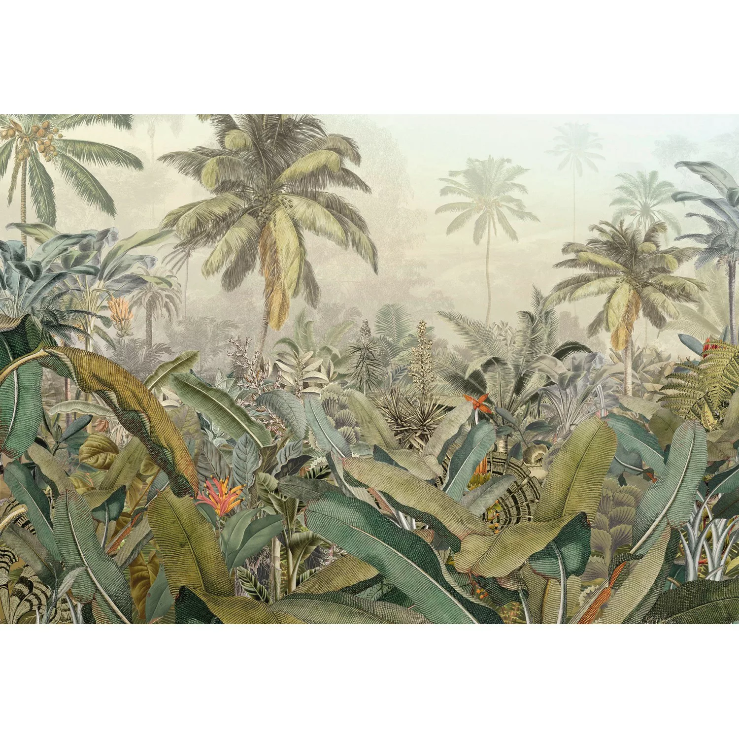 Komar Vliestapete »Amazonia«, 368x248 cm (Breite x Höhe), inklusive Kleiste günstig online kaufen