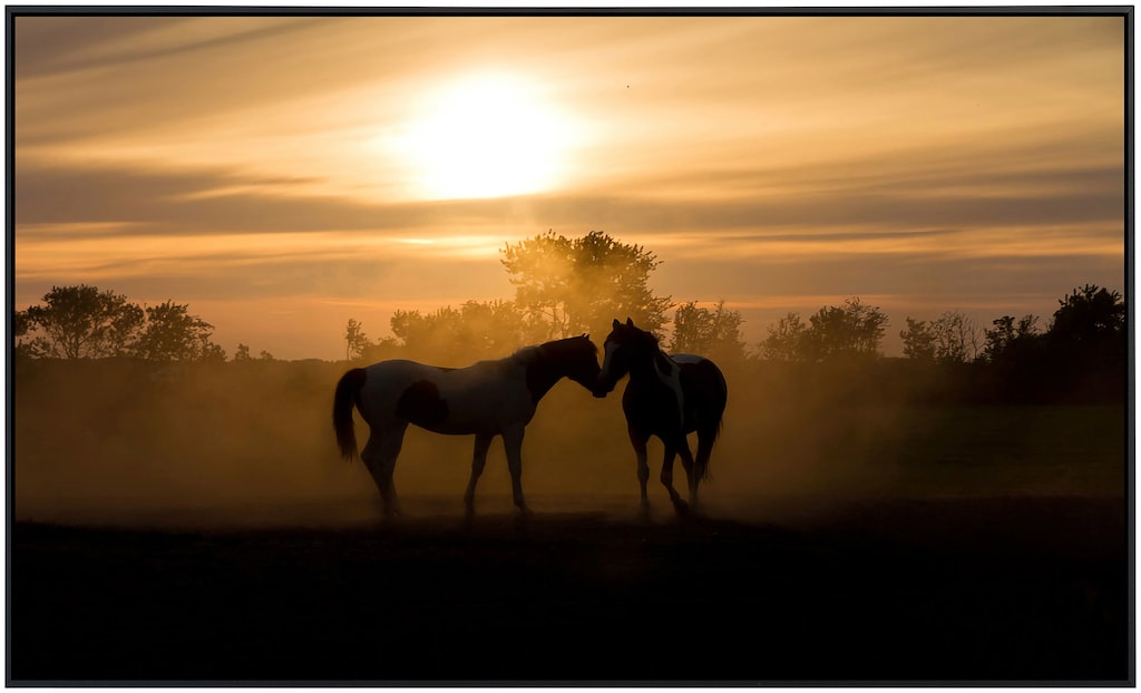 Papermoon Infrarotheizung »Liebespferde«, sehr angenehme Strahlungswärme günstig online kaufen