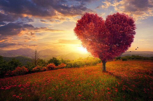 Papermoon Fototapete »Herzbaum in Blumenwiese« günstig online kaufen