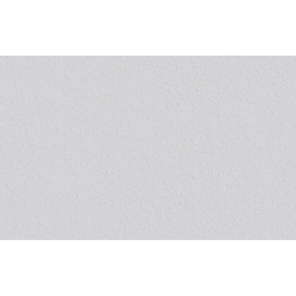 ERFURT Papiertapete Rauhfaser SPRINT, 20 m günstig online kaufen