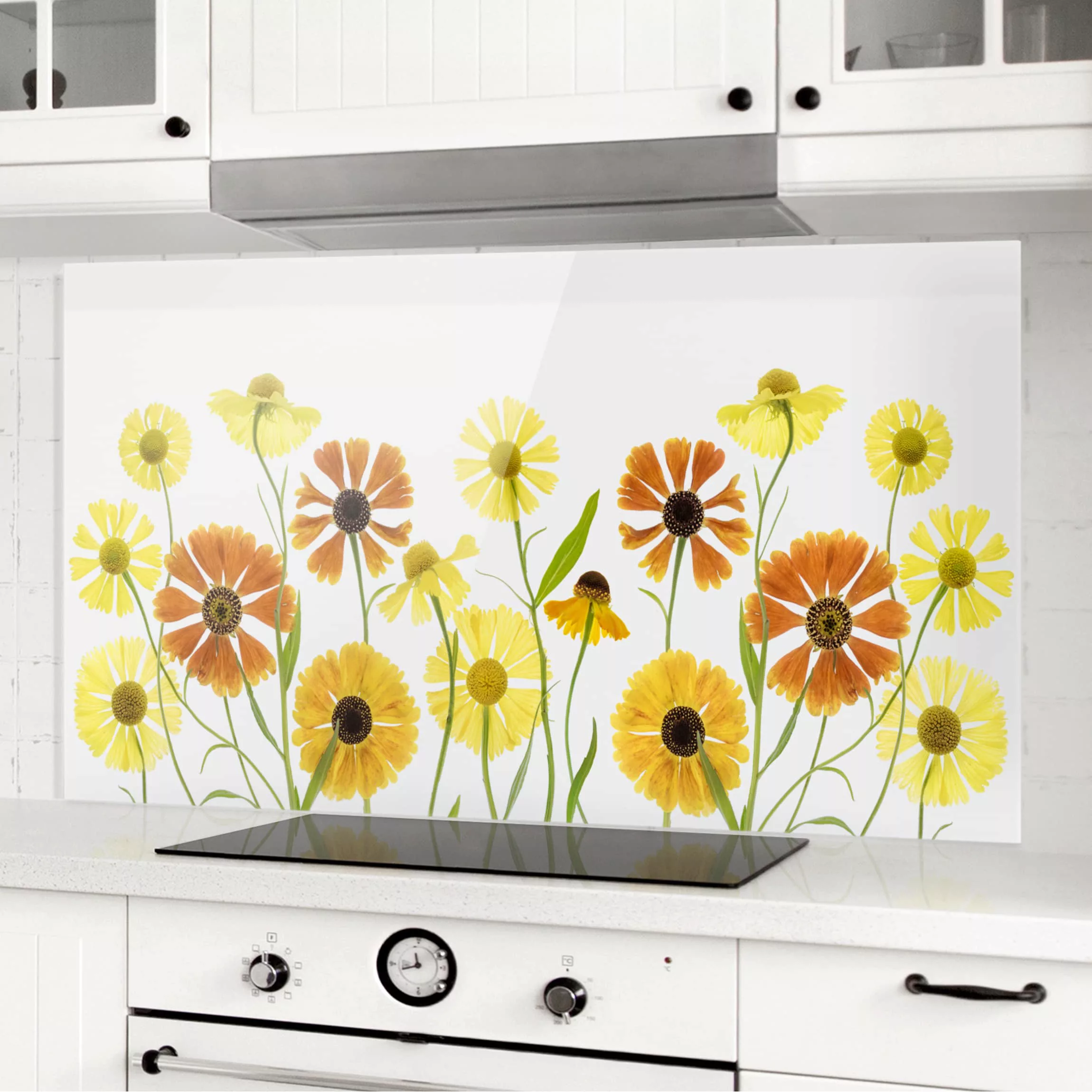 Glas Spritzschutz Blumen - Querformat 2:1 Helenium günstig online kaufen