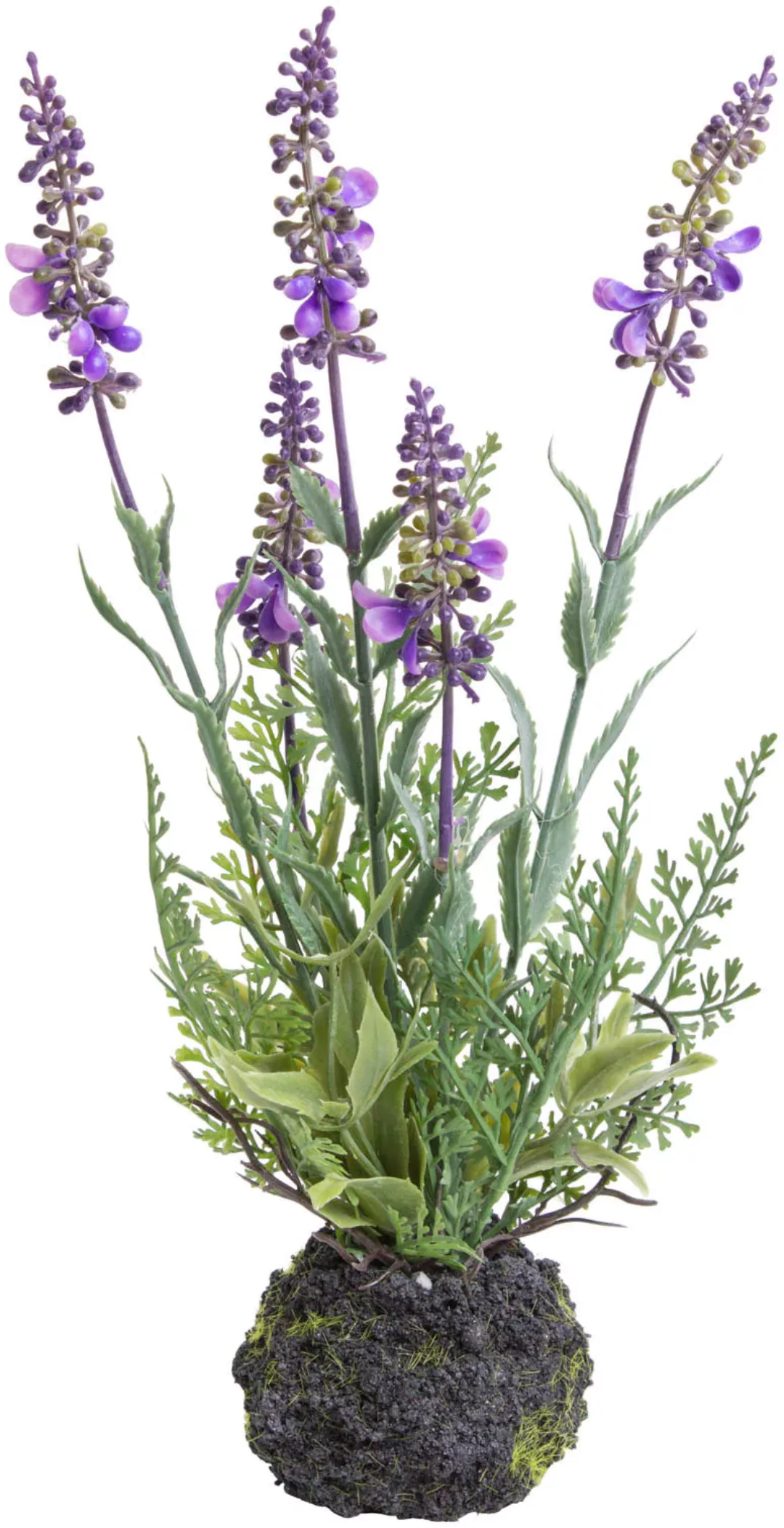 Botanic-Haus Künstliche Zimmerpflanze "Lavendel" günstig online kaufen
