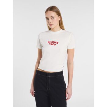 Dickies  T-Shirts & Poloshirts CENTER LOGO DK0A4Z8FC481-EGRET günstig online kaufen