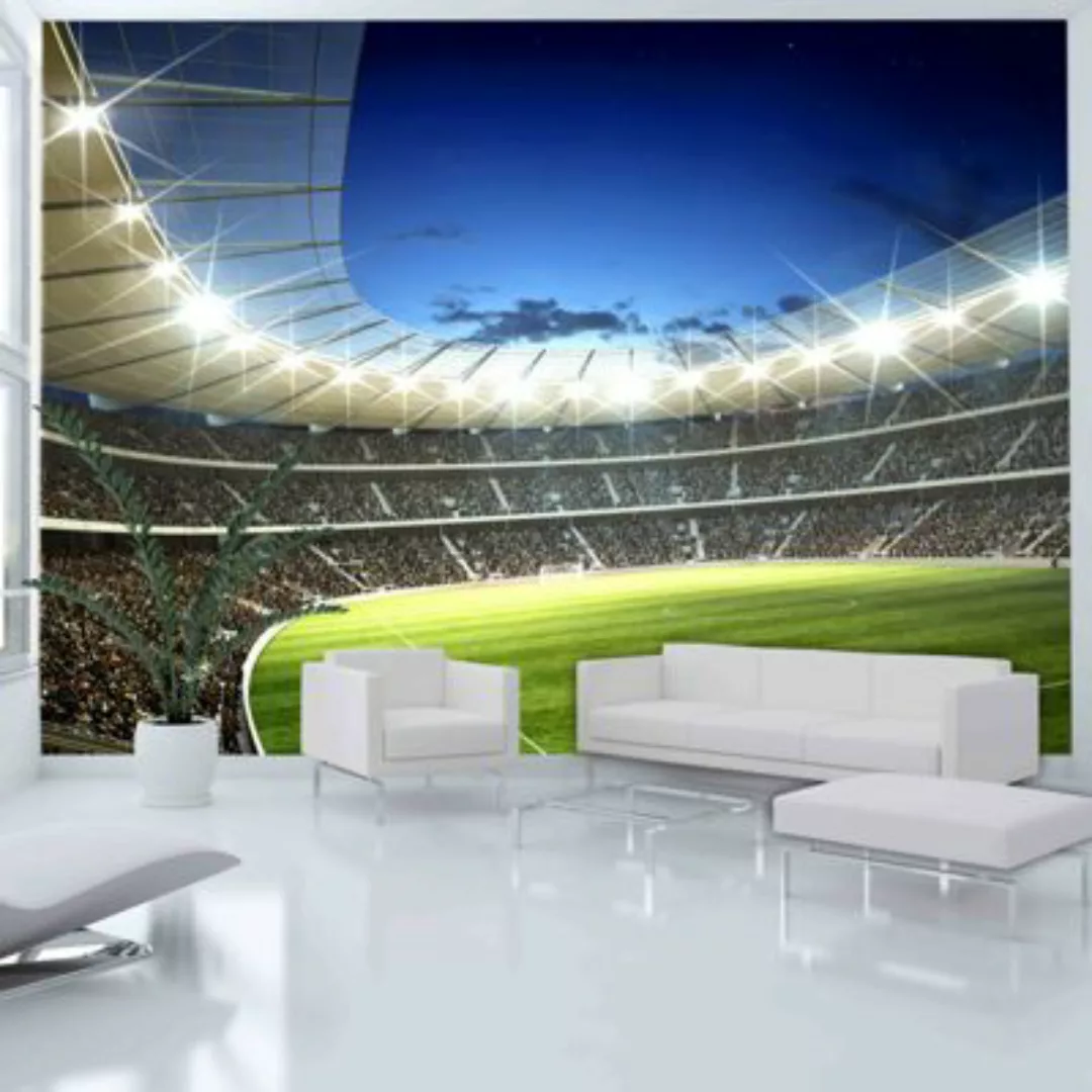 artgeist Fototapete Nationalstadion mehrfarbig Gr. 300 x 231 günstig online kaufen