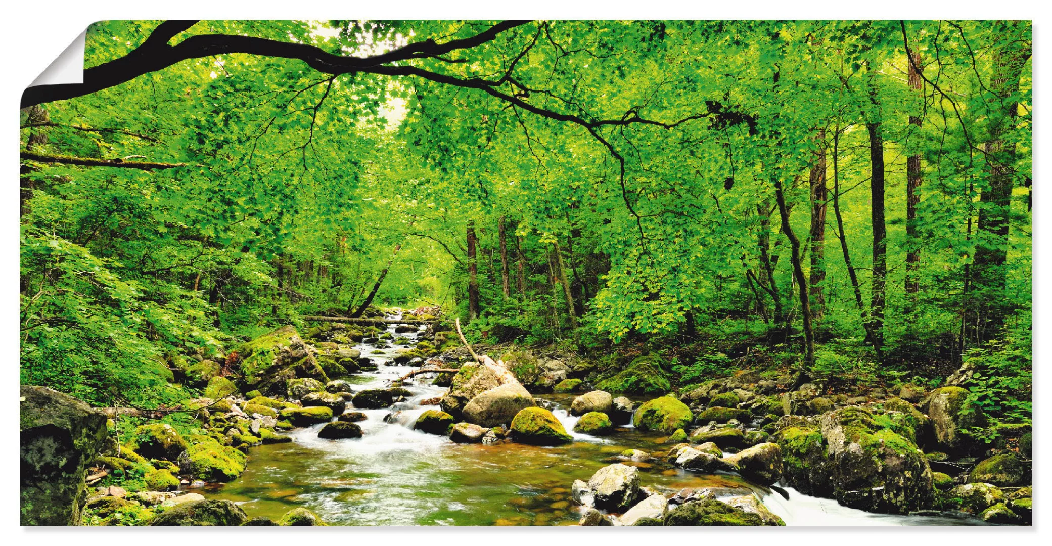 Artland Wandbild "Herbstwald Fluss Smolny", Wald, (1 St.), als Leinwandbild günstig online kaufen