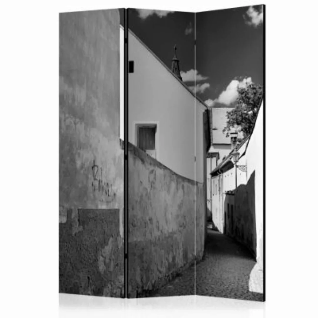 artgeist Paravent Narrow Street [Room Dividers] schwarz/weiß Gr. 135 x 172 günstig online kaufen