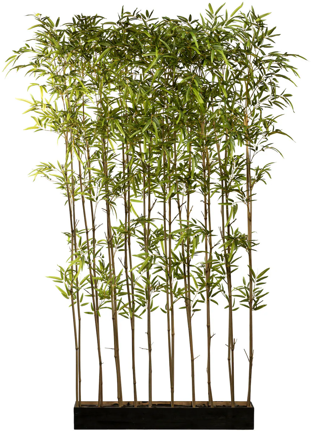 Creativ green Künstliche Zimmerpflanze »Bambusraumteiler«, im Holzkasten günstig online kaufen