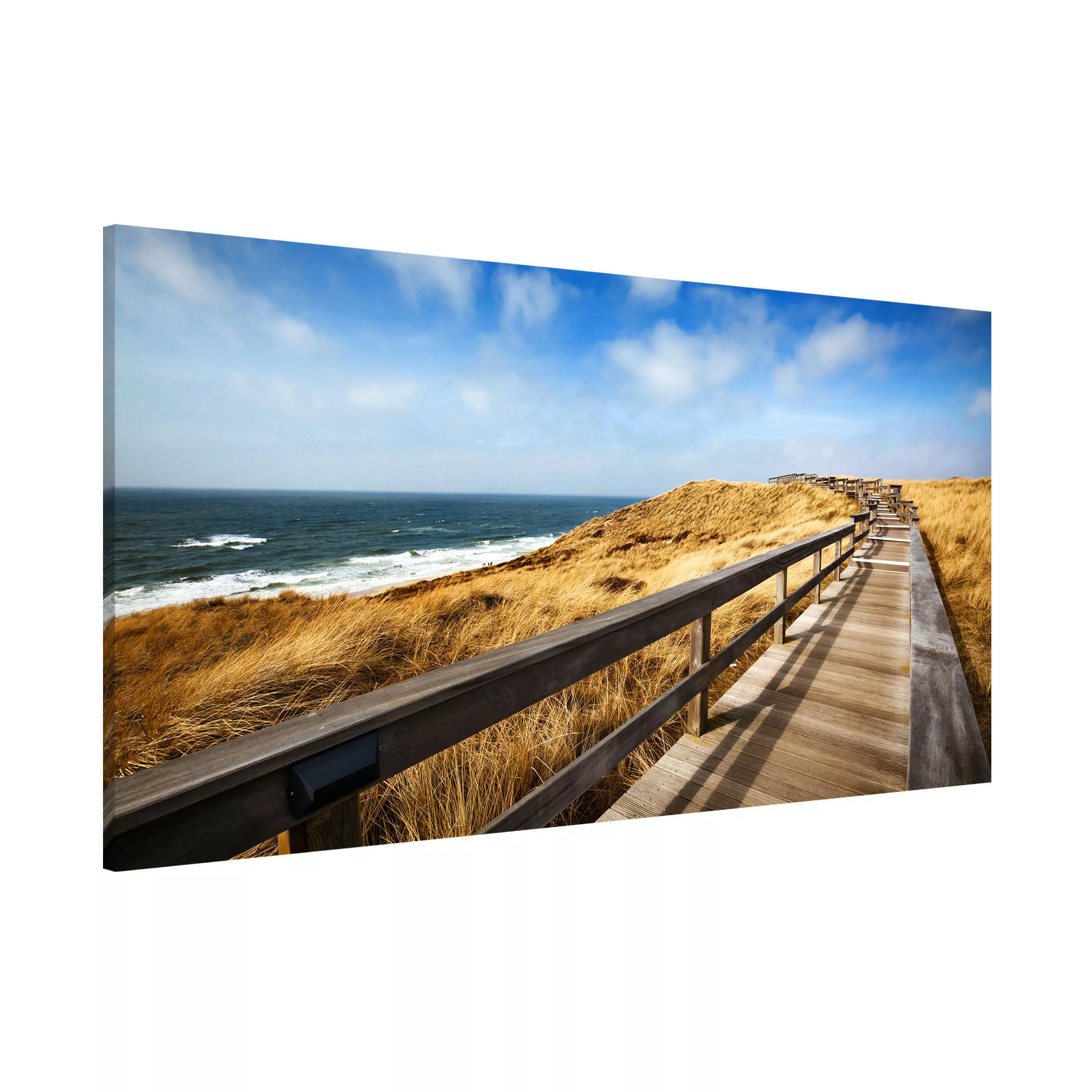 Magnettafel Natur & Landschaft - Querformat 2:1 Nordseespaziergang günstig online kaufen