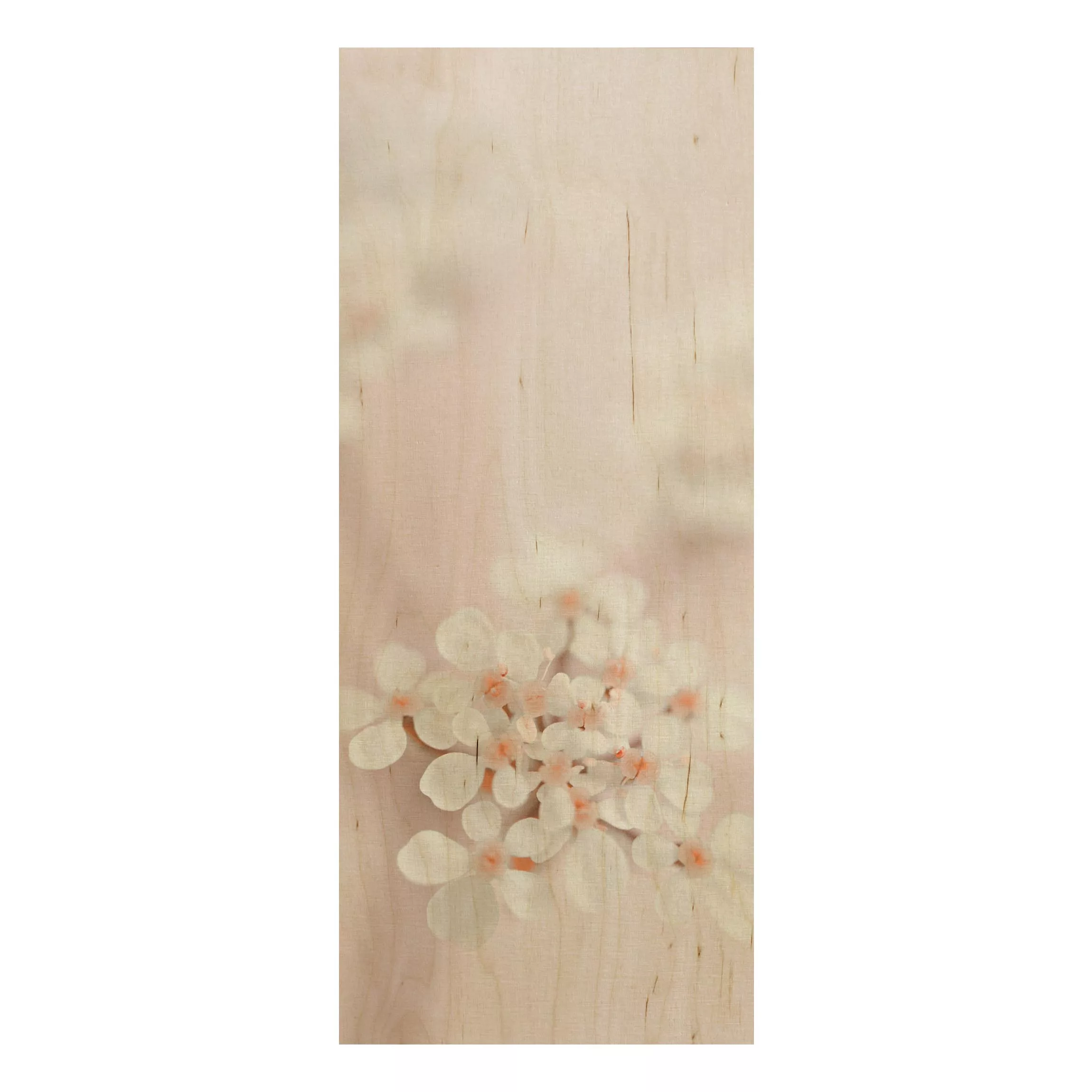 Holzbild Miniblüten im Rosanen Licht günstig online kaufen
