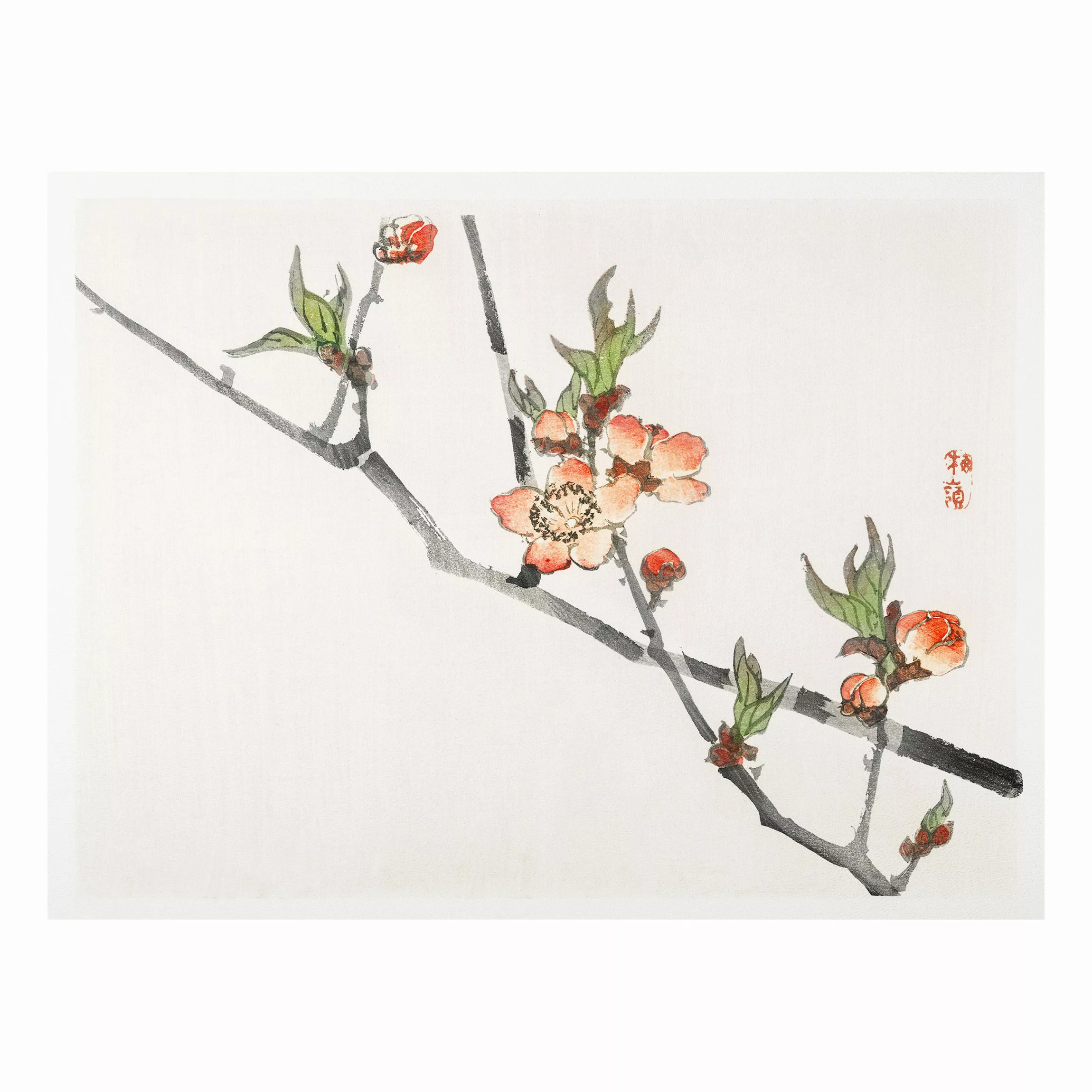 Forexbild Blumen - Querformat Asiatische Vintage Zeichnung Kirschblütenzwei günstig online kaufen