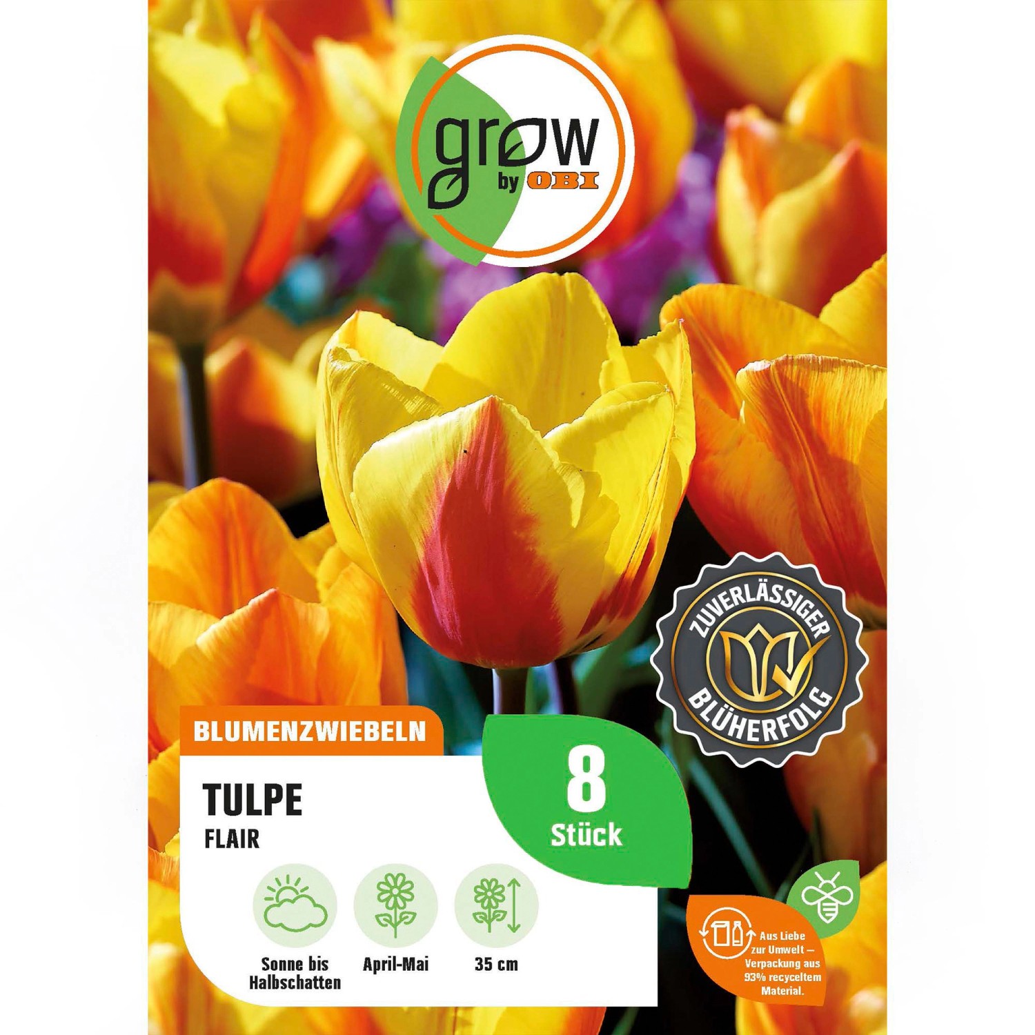 GROW by OBI Tulpe Flair Orange-Gelb 8 Stück Tulipa single early Flair günstig online kaufen