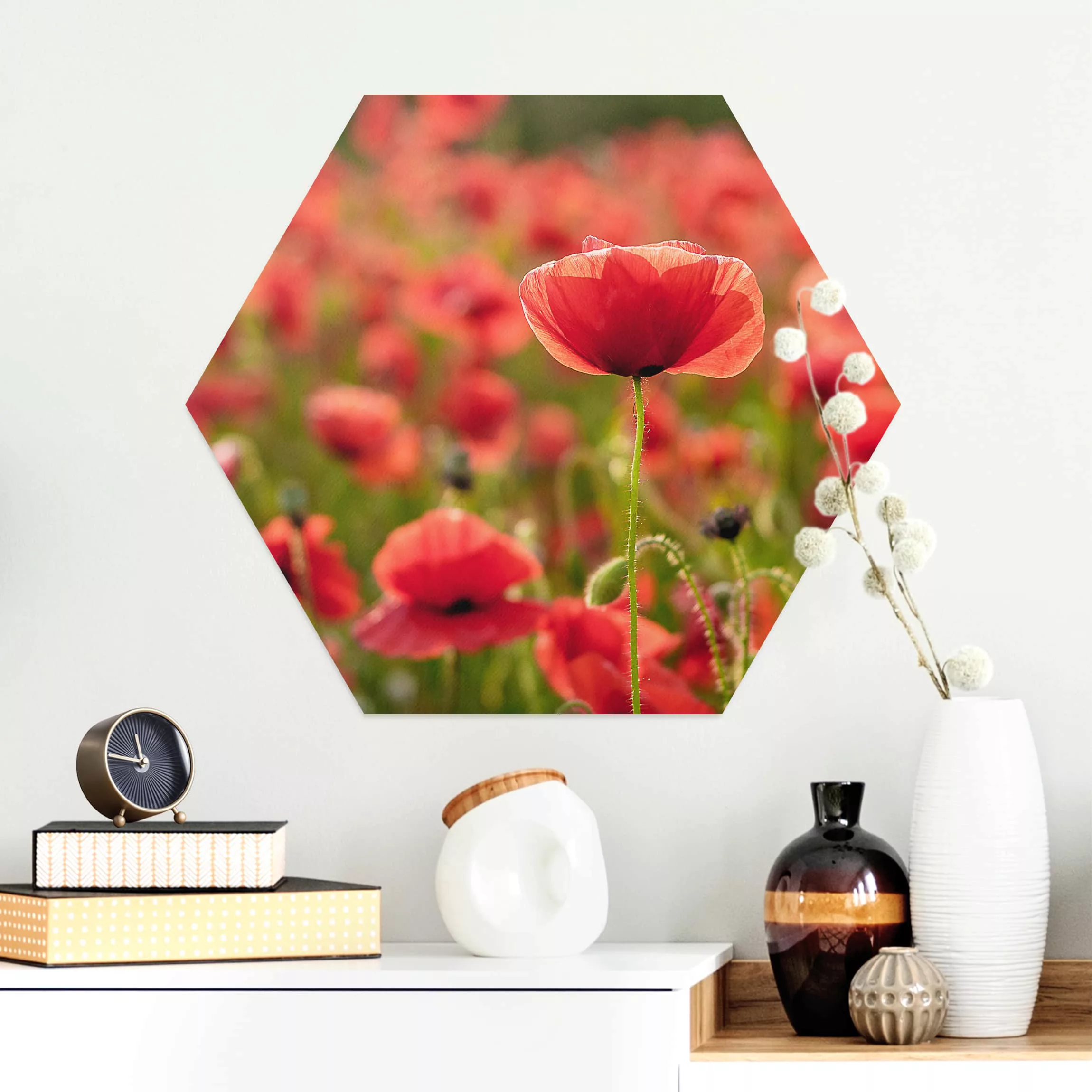 Hexagon-Alu-Dibond Bild Blumen Mohnfeld im Sonnenlicht günstig online kaufen