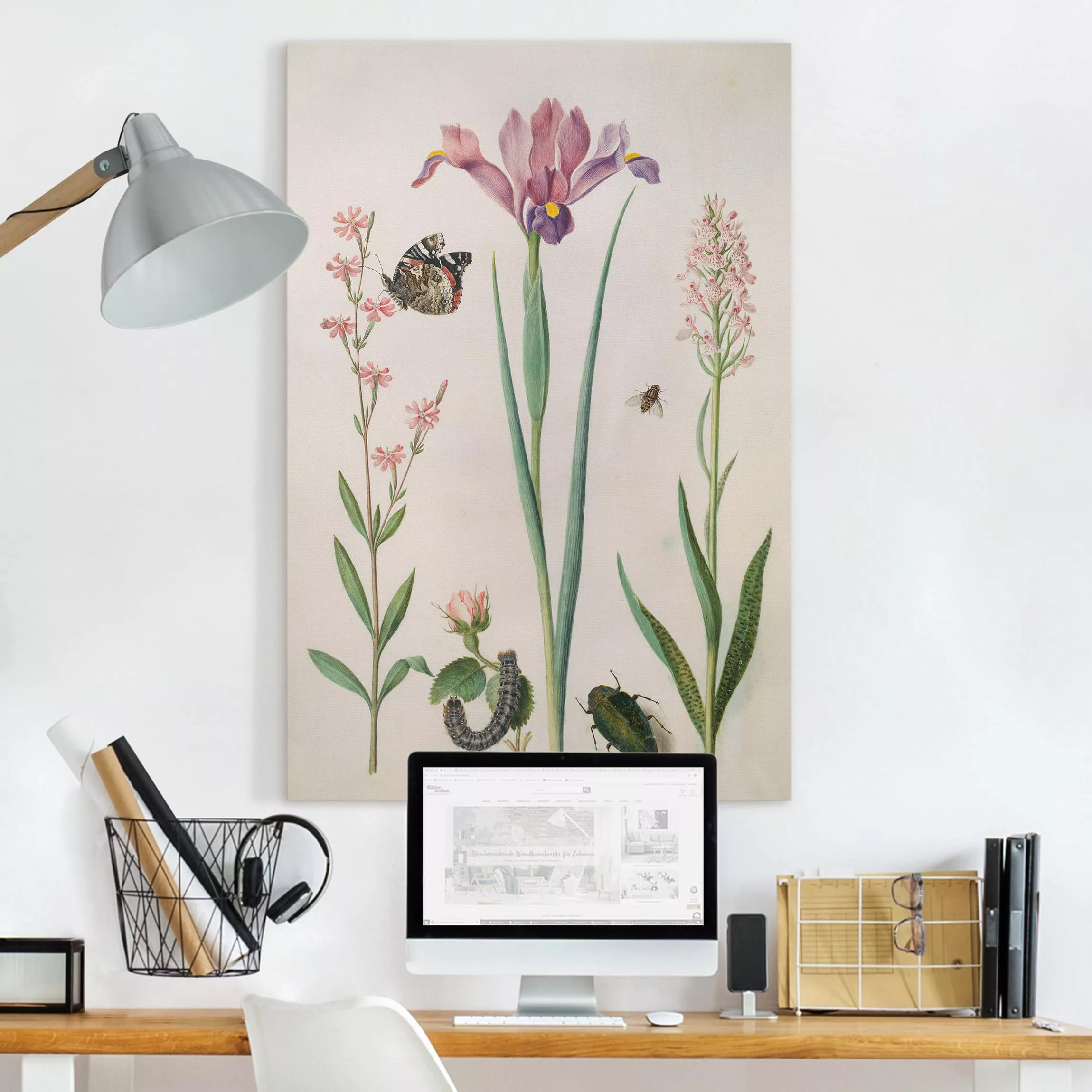 Leinwandbild Blumen - Hochformat Anna Maria Sibylla Merian - Pechnelke und günstig online kaufen
