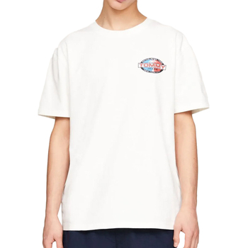 Tommy Hilfiger  T-Shirts & Poloshirts DM0DM18587 günstig online kaufen