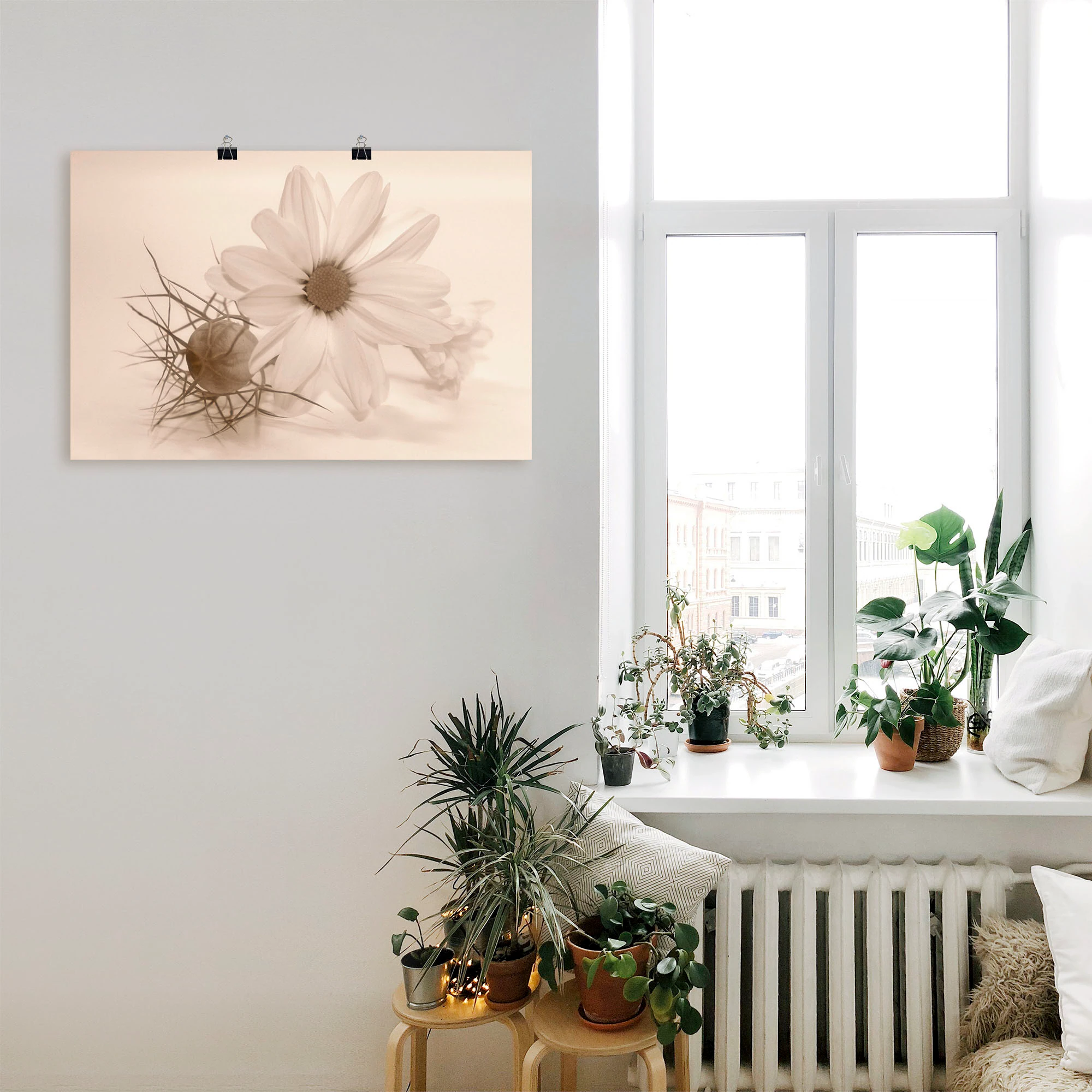 Artland Wandbild »Chrysantheme«, Blumen, (1 St.), als Alubild, Outdoorbild, günstig online kaufen