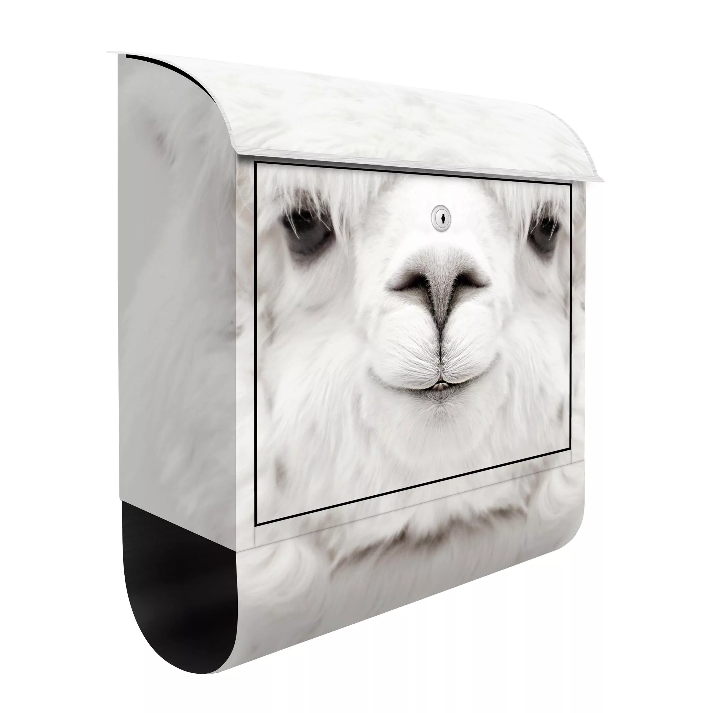 Briefkasten Tiere Lächelndes Alpaka günstig online kaufen