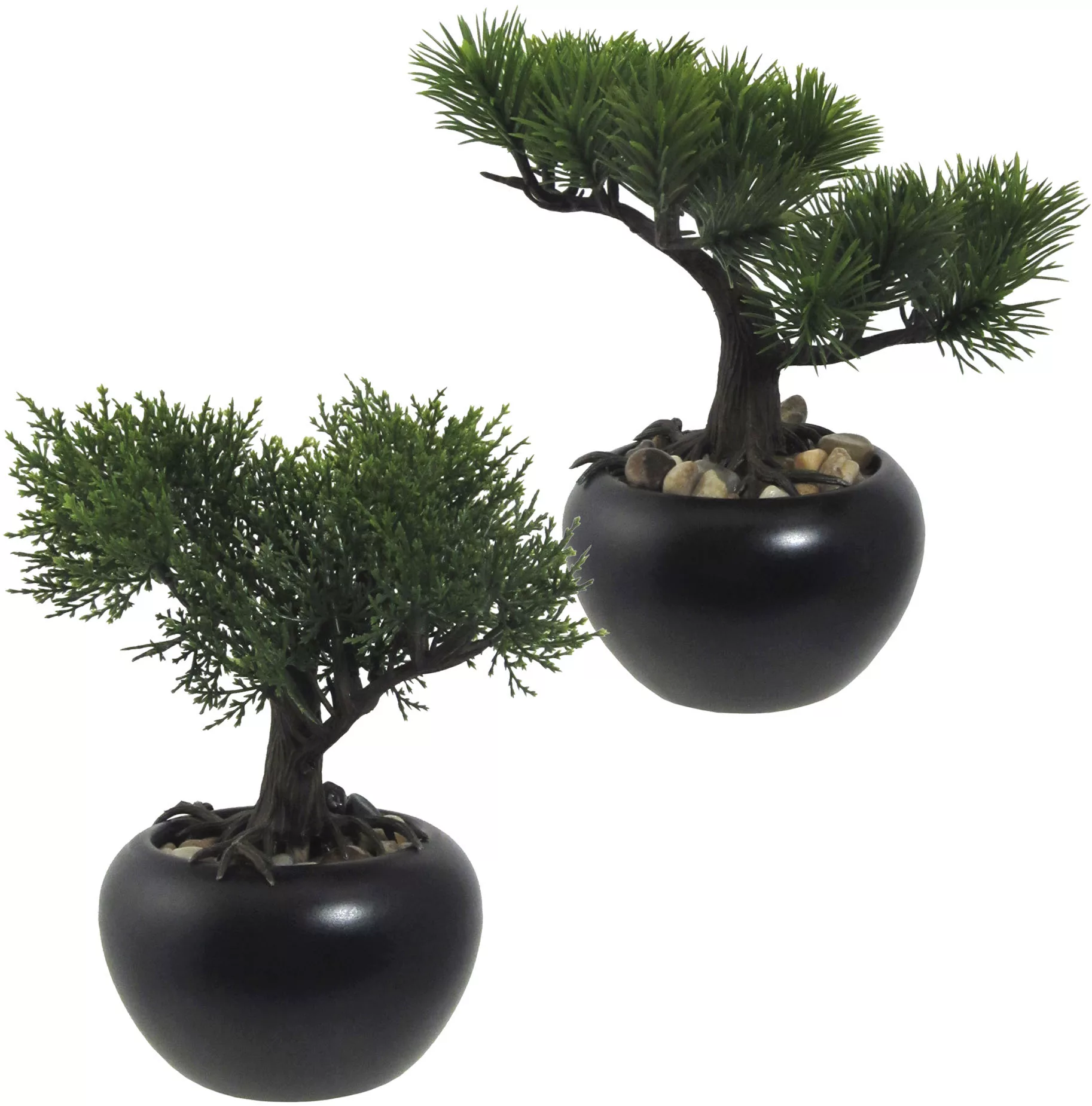 Creativ green Kunstbonsai "Bonsai Kiefer und Zeder", mit Kies günstig online kaufen