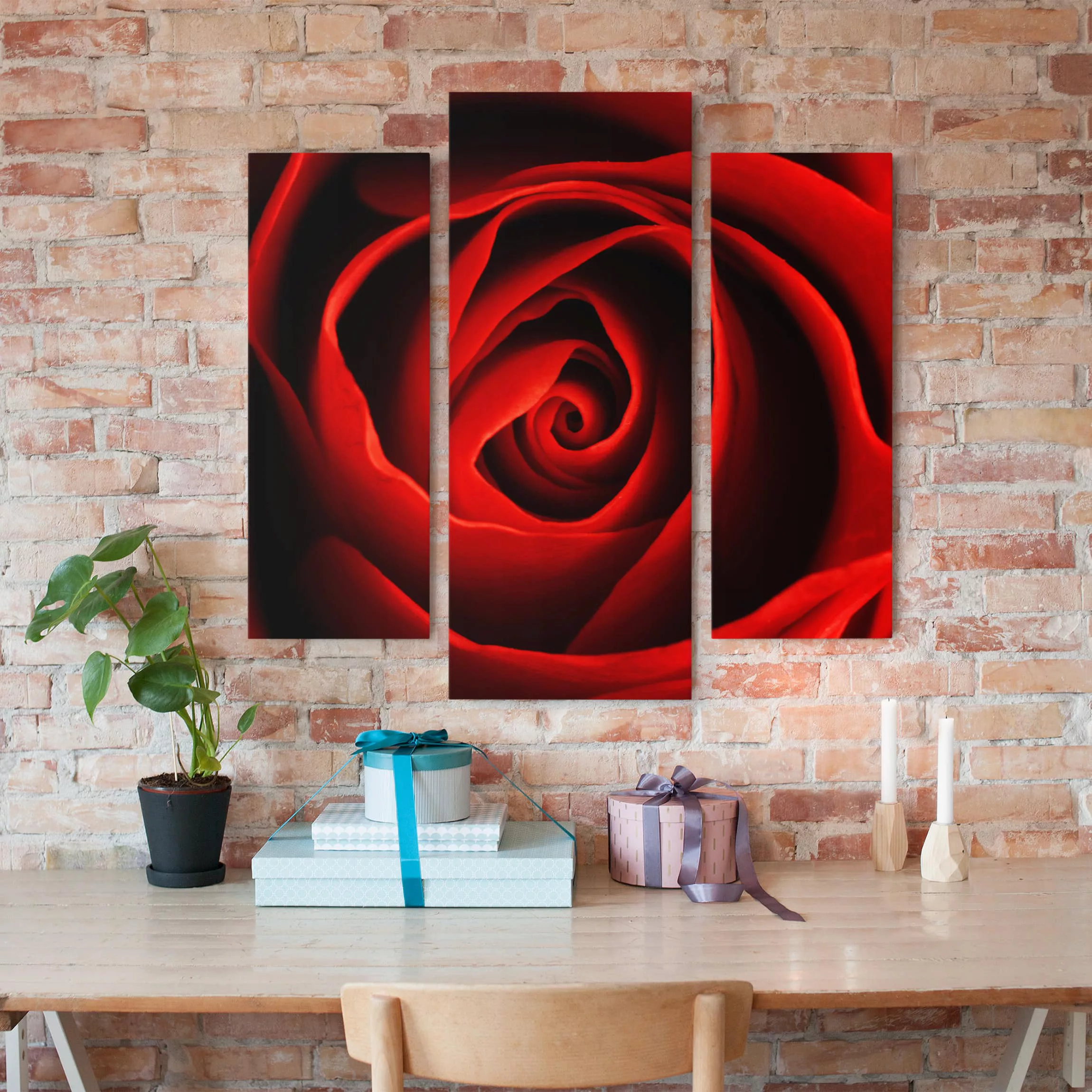 3-teiliges Leinwandbild Blumen - Querformat Liebliche Rose günstig online kaufen