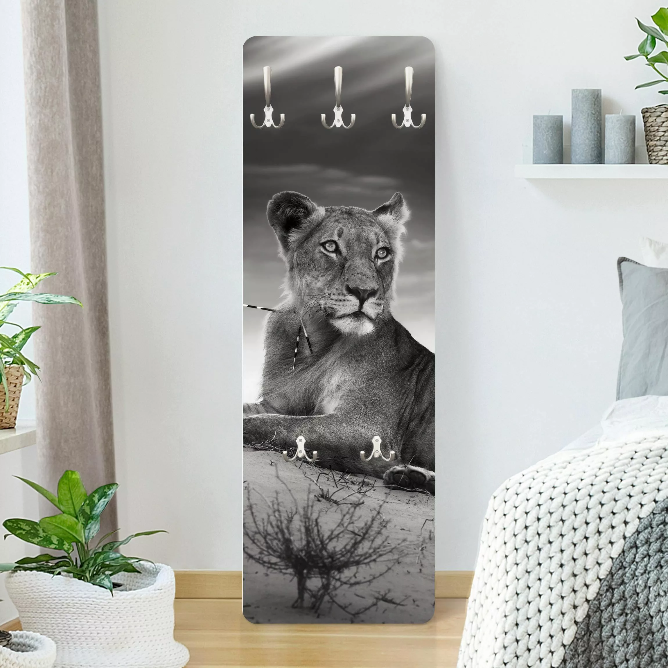 Wandgarderobe Holzpaneel Tiere Resting Lion günstig online kaufen