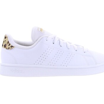 adidas  Sneaker Advantage Base günstig online kaufen