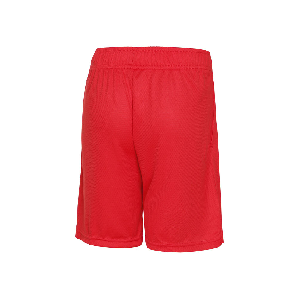 Dri-Fit HBR Shorts günstig online kaufen