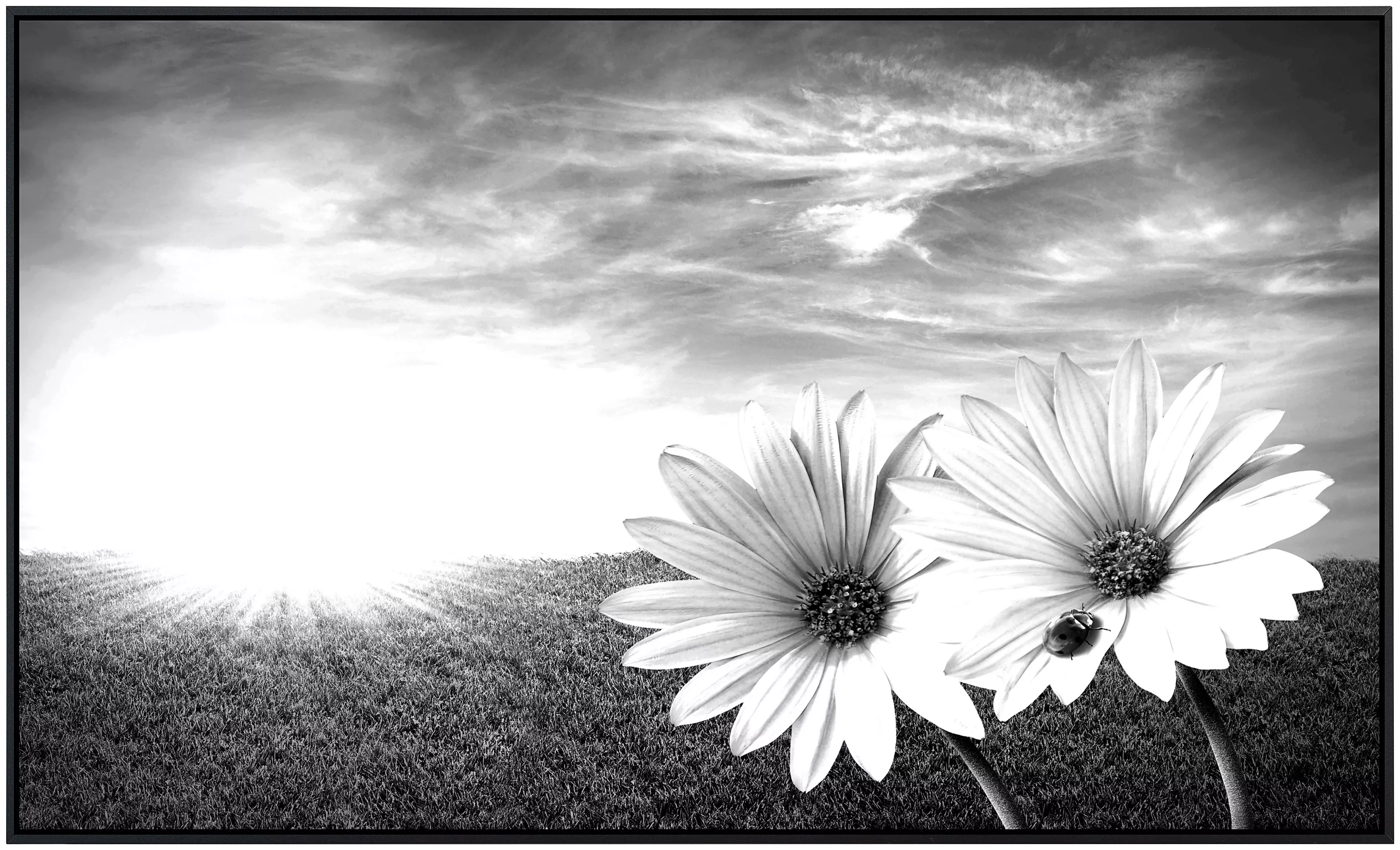 Papermoon Infrarotheizung »Blumen Schwarz & Weiß«, sehr angenehme Strahlung günstig online kaufen