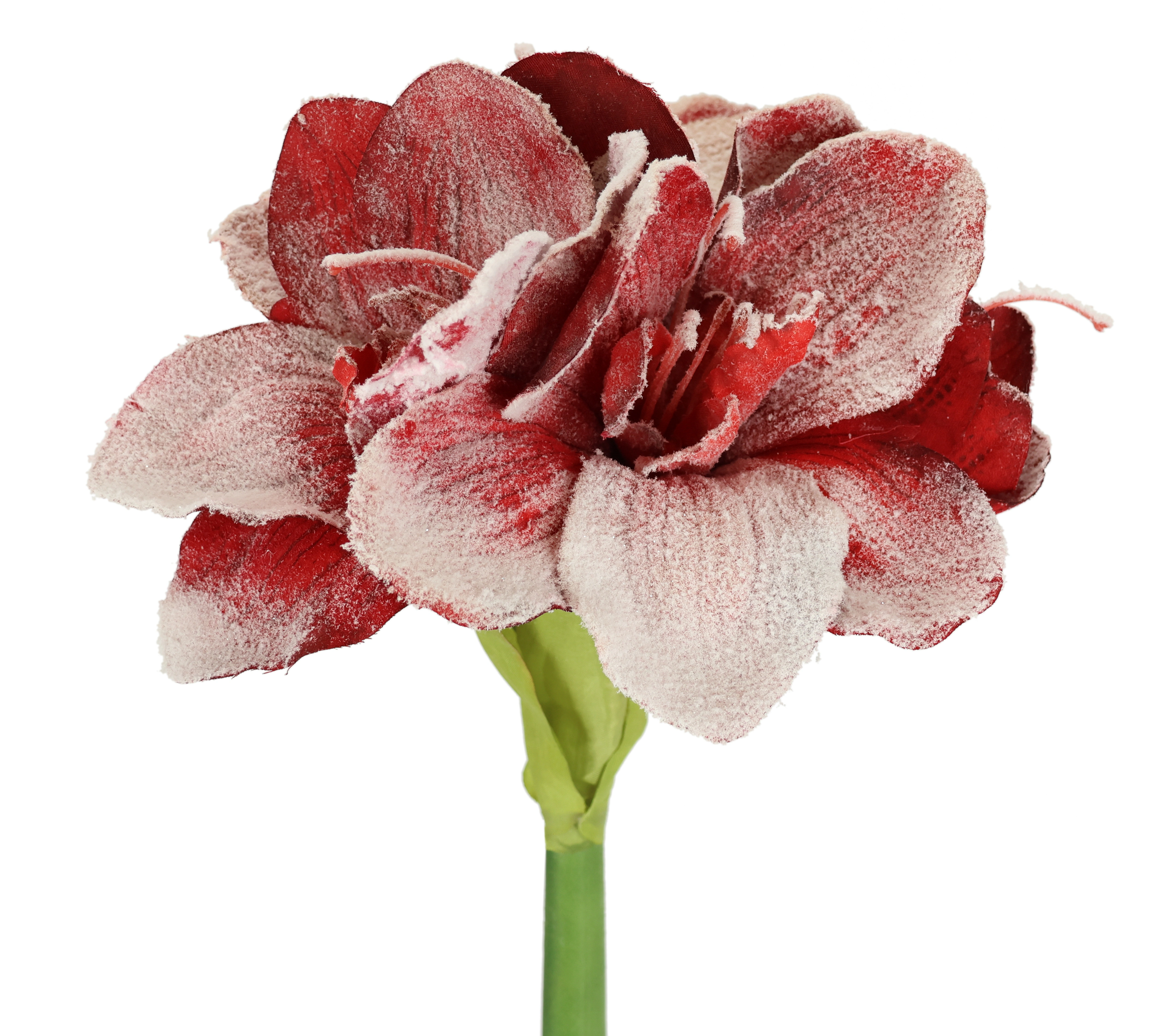 I.GE.A. Kunstblume "Amaryllis mit Kunstschnee", 2er Set Zweige Winterblume günstig online kaufen