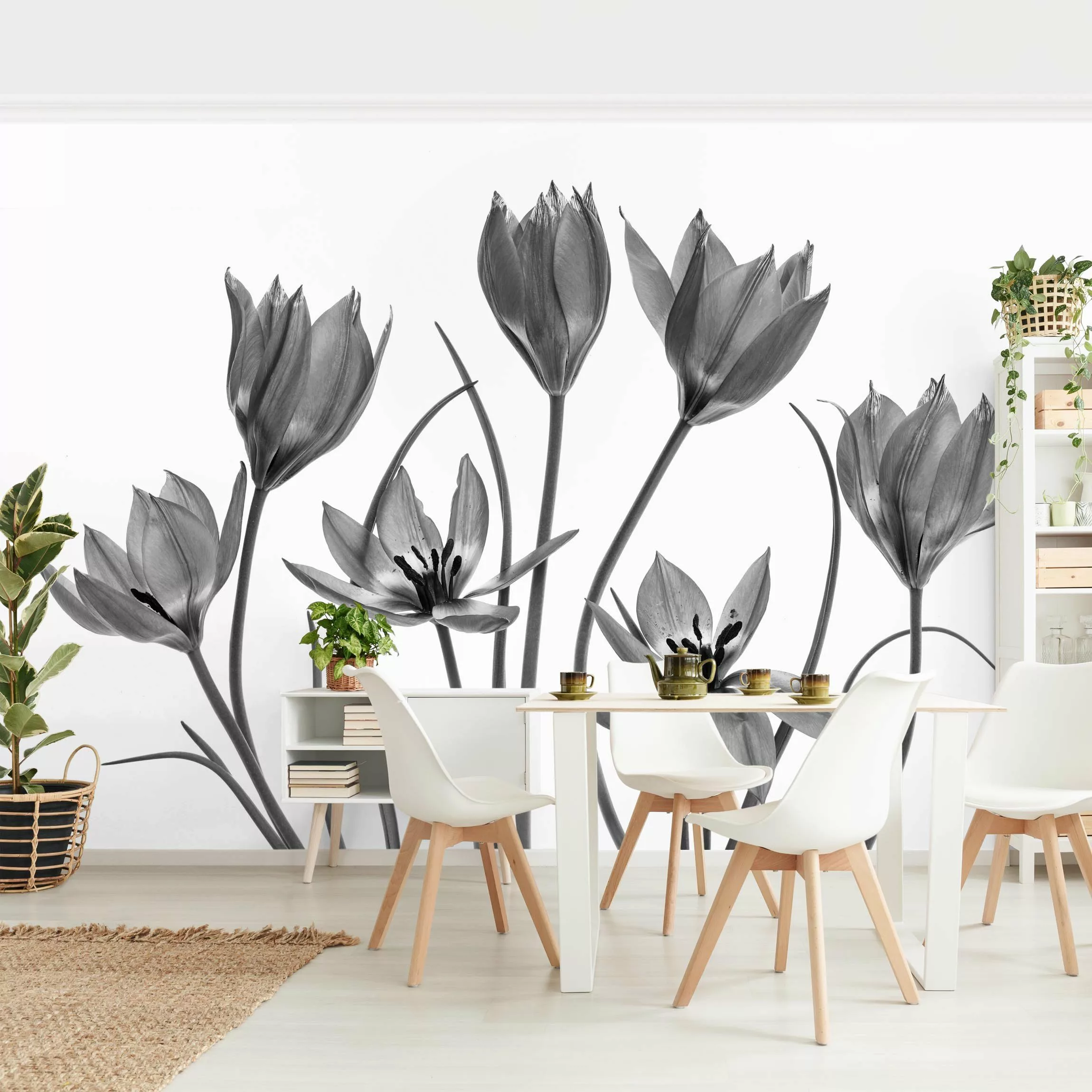 Fototapete Sieben Tulpenblüten Schwarz-Weiß günstig online kaufen