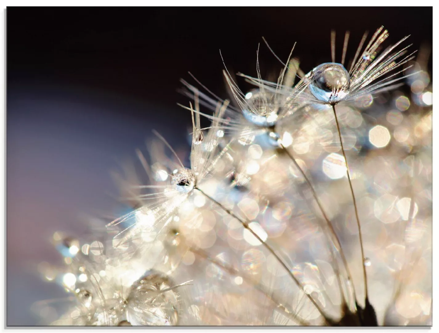 Artland Glasbild "Pusteblume Fantasie", Blumen, (1 St.), in verschiedenen G günstig online kaufen