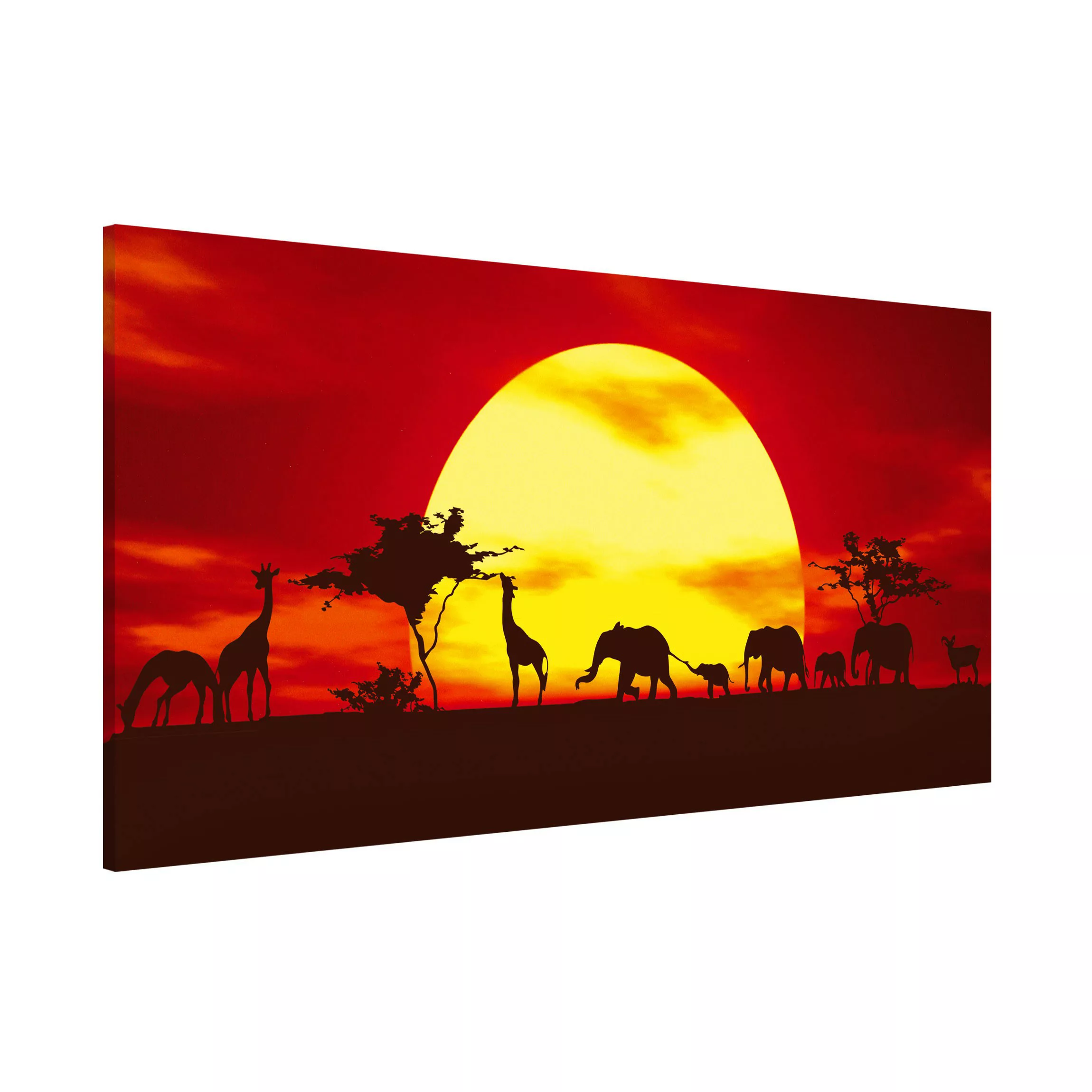 Magnettafel Natur & Landschaft - Querformat 2:1 Sunset Caravan günstig online kaufen