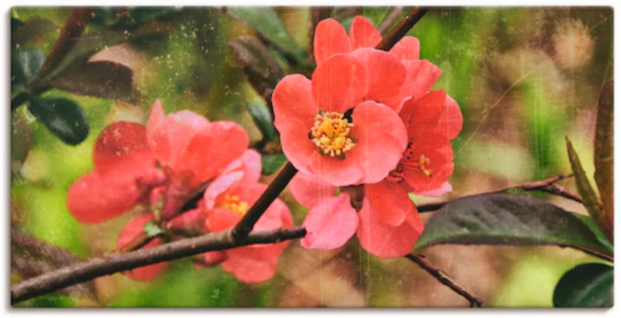Artland Leinwandbild "Quittenblüte", Blumen, (1 St.) günstig online kaufen