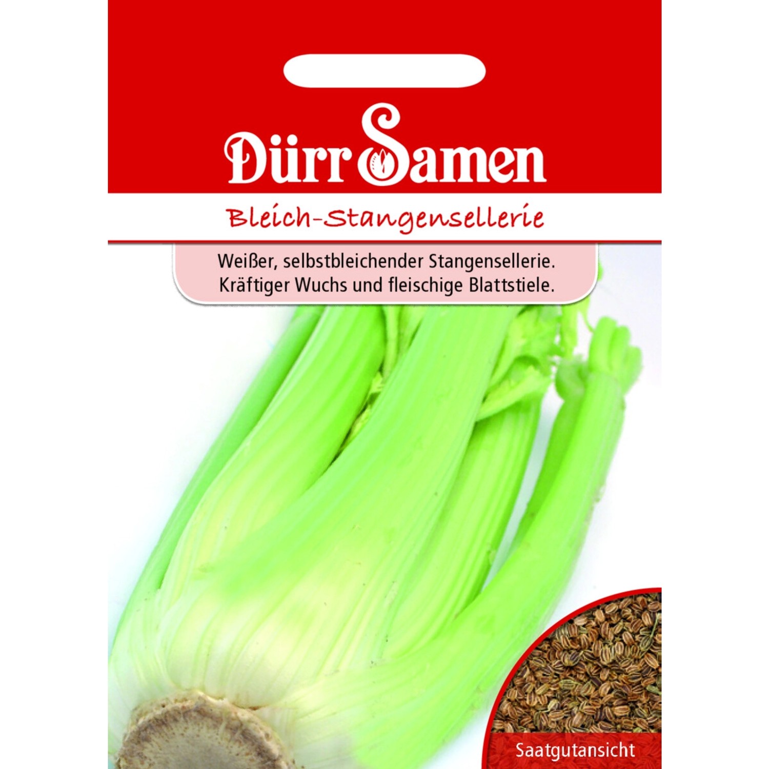 Dürr Samen Bleich-Stangensellerie Saatgut günstig online kaufen