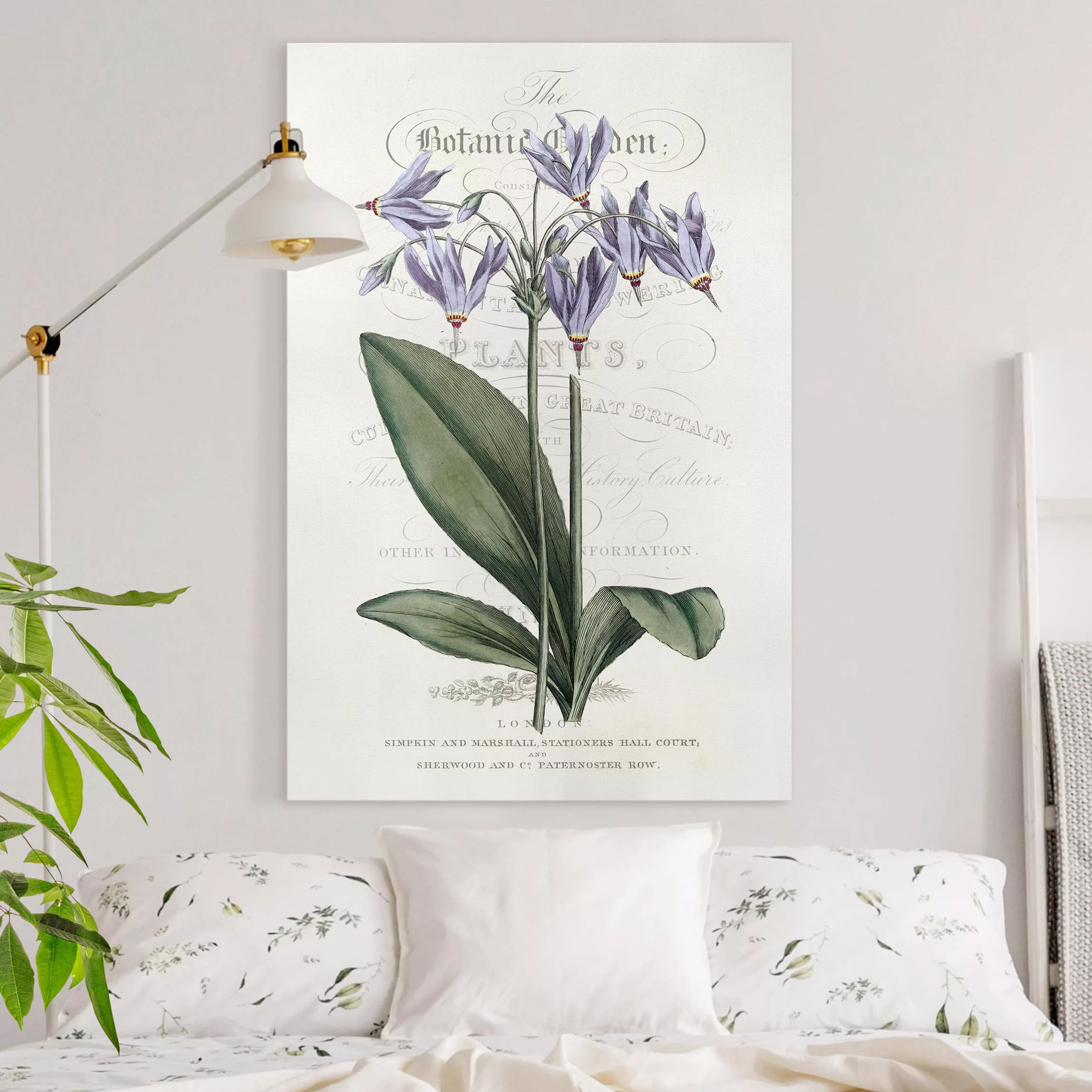 Leinwandbild - Hochformat Botanisches Tableau - Götterblume günstig online kaufen