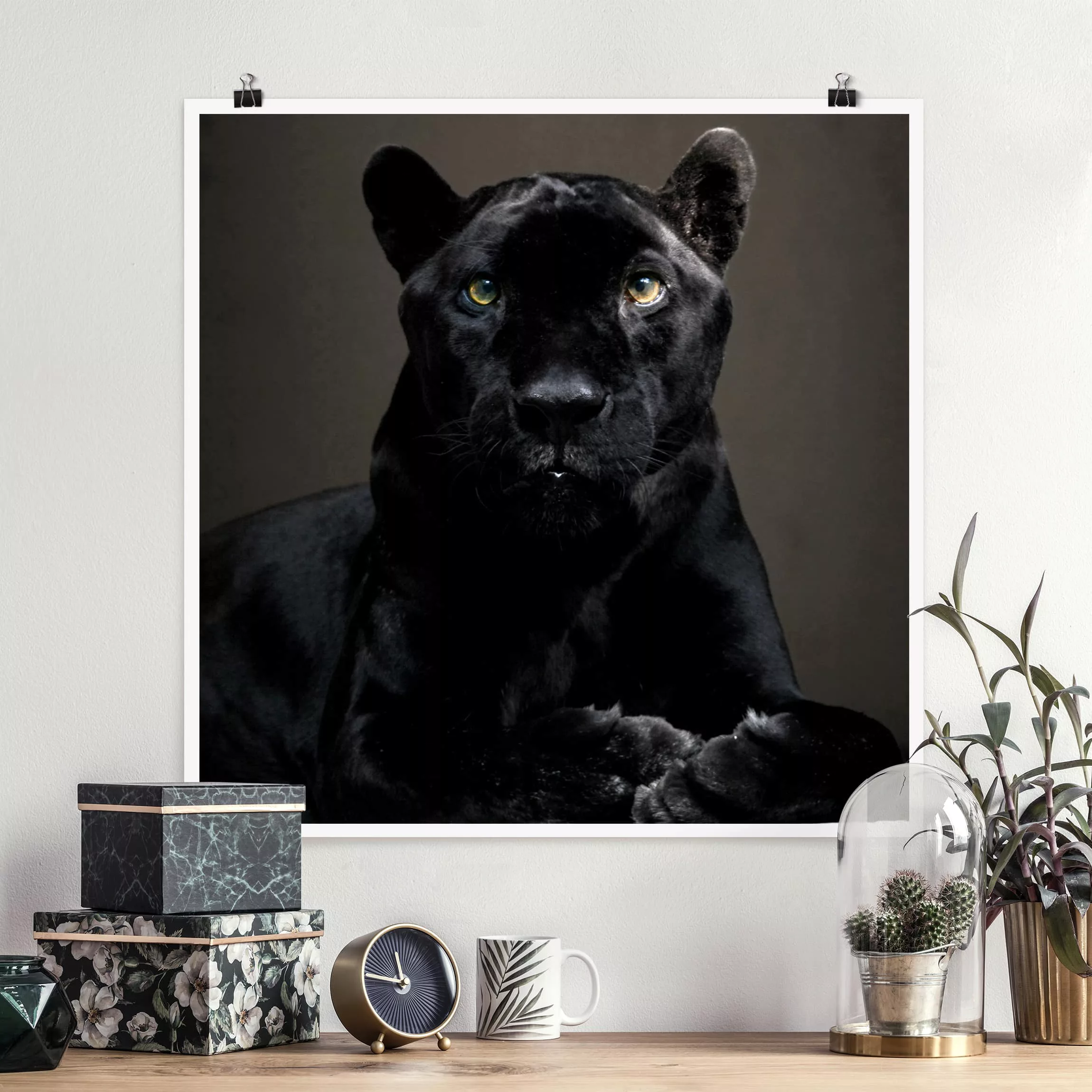 Poster Tiere - Quadrat Black Puma günstig online kaufen