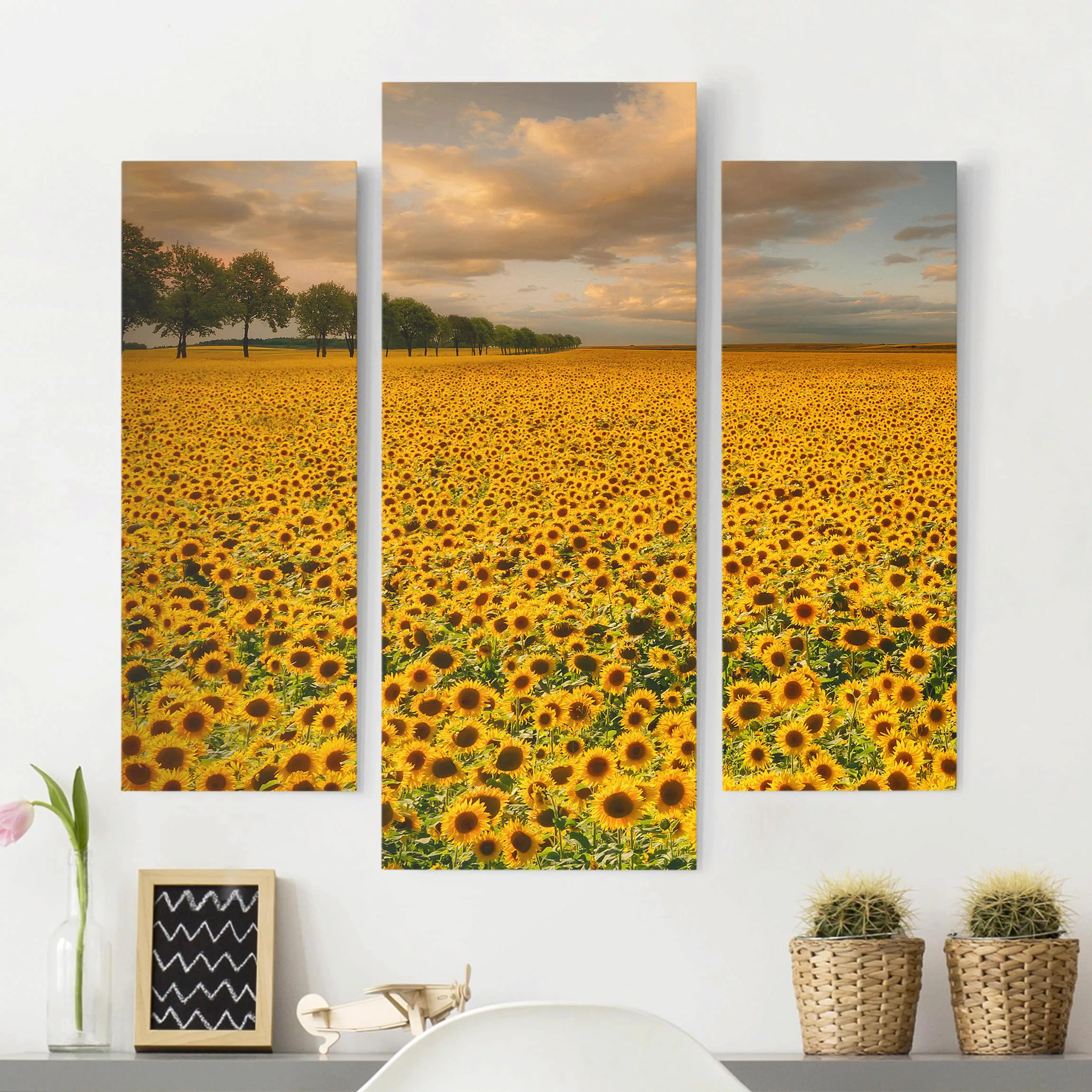 3-teiliges Leinwandbild Blumen - Querformat Feld mit Sonnenblumen günstig online kaufen