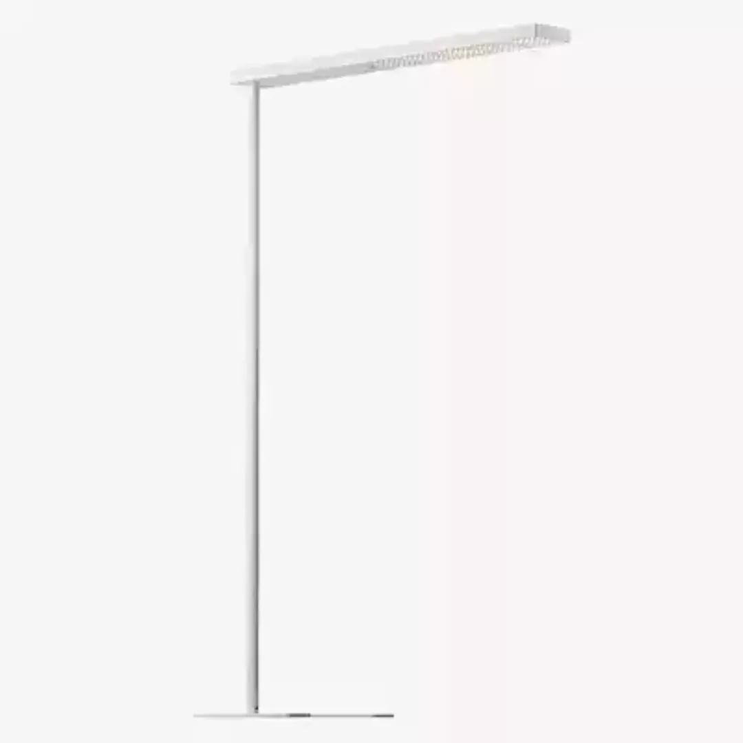 Grau Xt-a Plus Stehleuchte LED, weiß/weiß - 125 cm günstig online kaufen